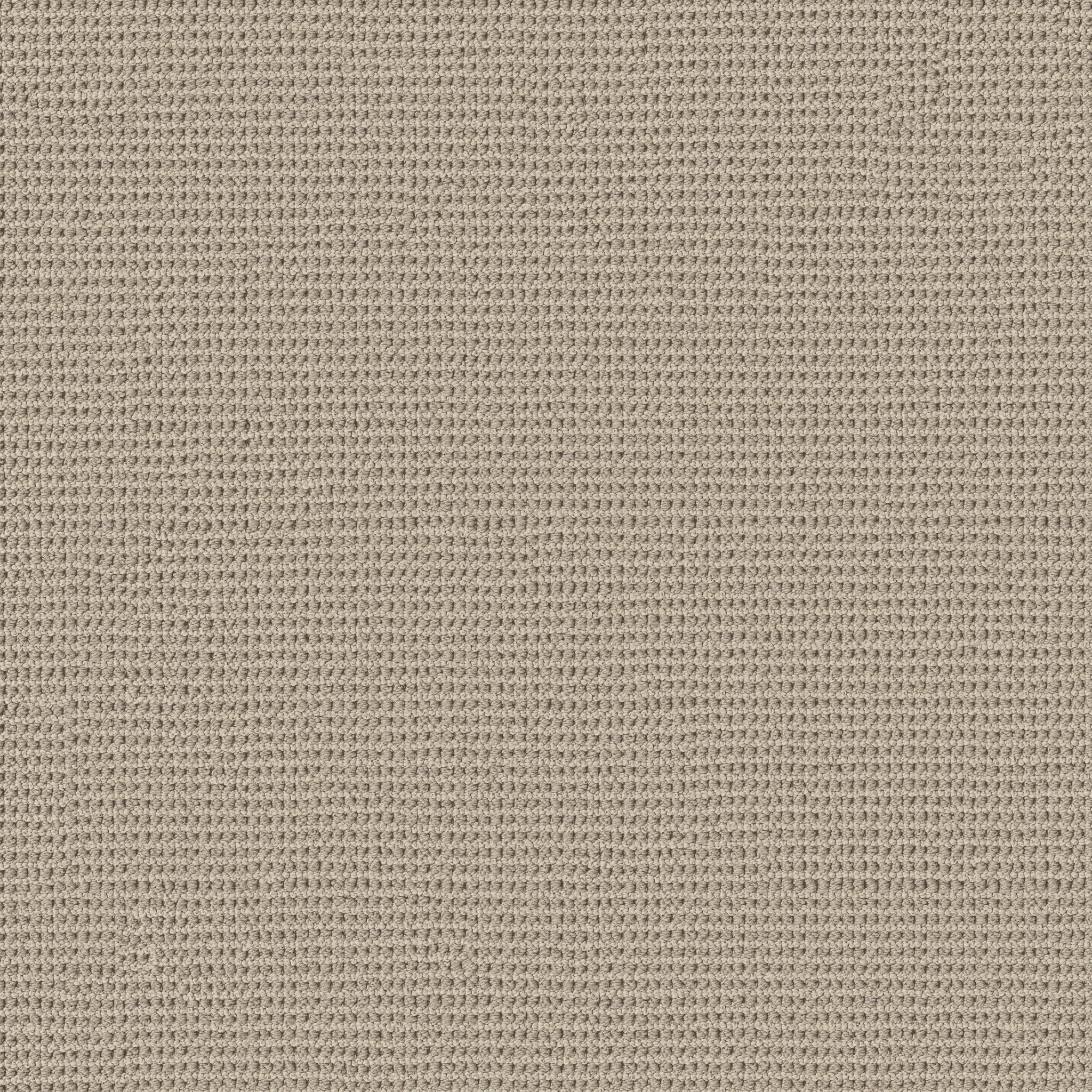 Echo Root-Velvet-HFP22_00108