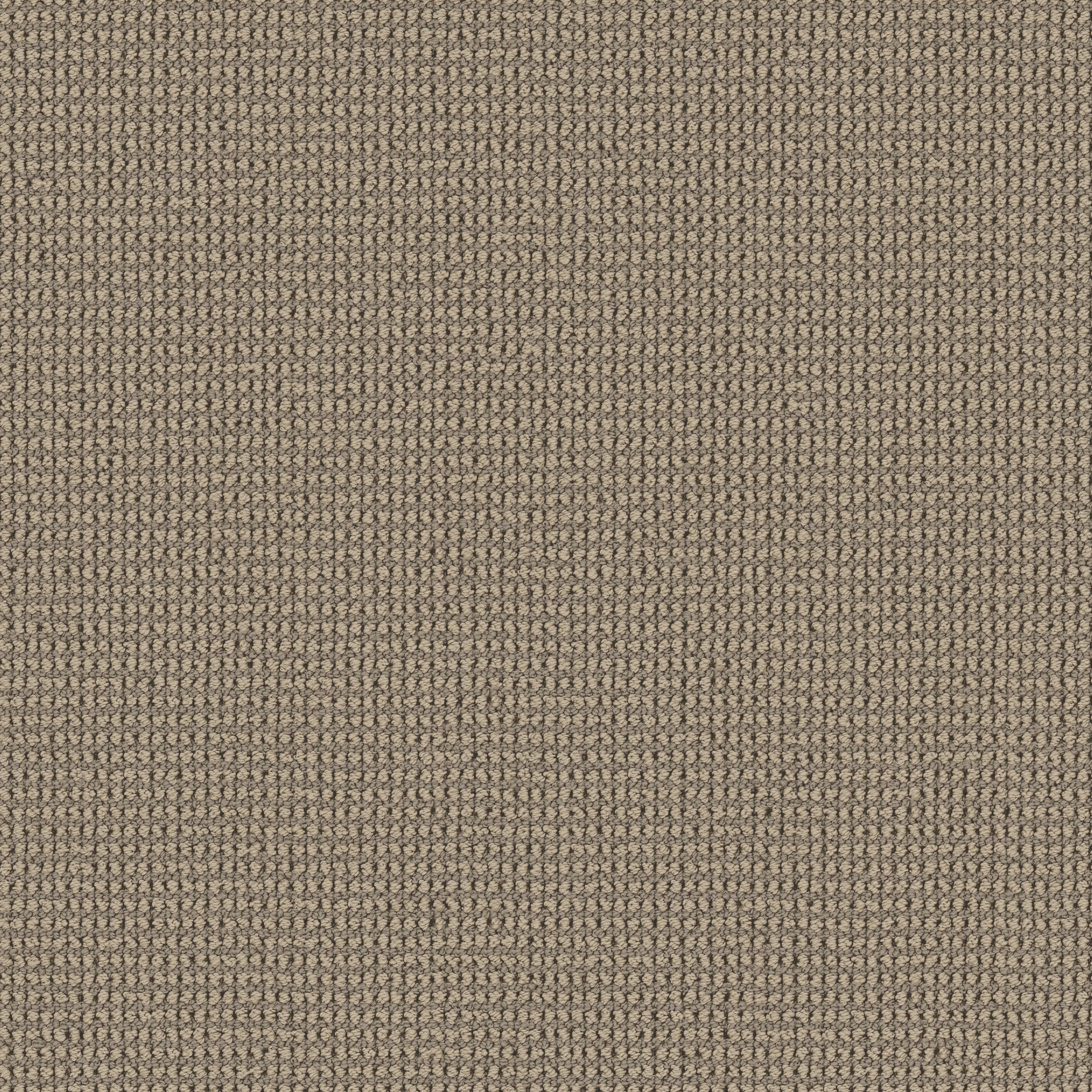 Echo Root-Cinnamon-HFP22_00700