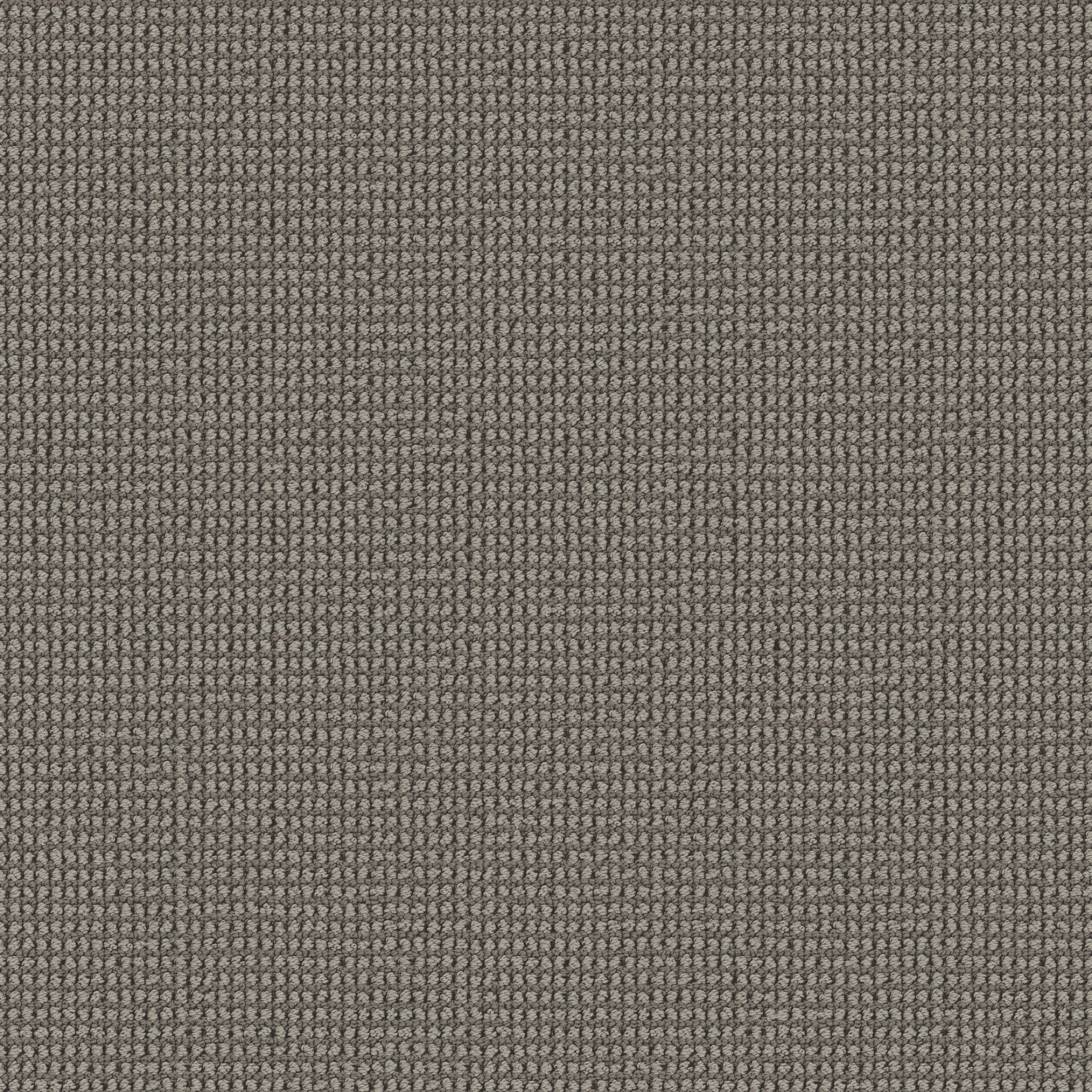 Echo Root-Earthshade-HFP22_00702