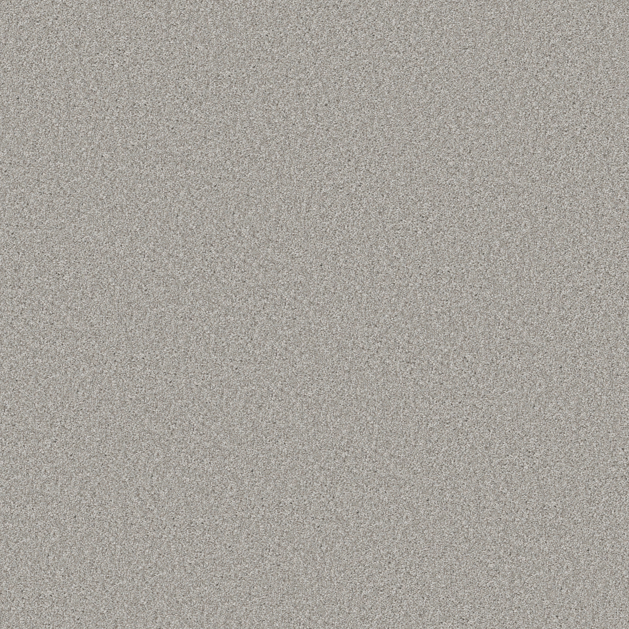 Lantern Bay-Ivory Mist-HFP23_00150