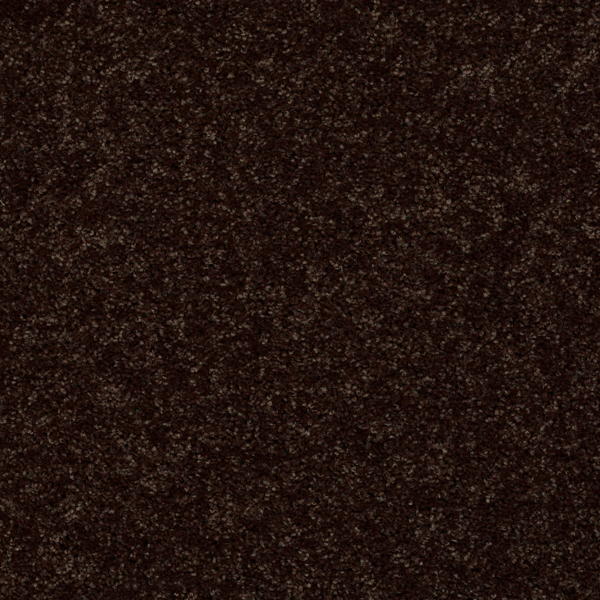 Easy Approve 12' - Coffee Bean - HGL51_00705