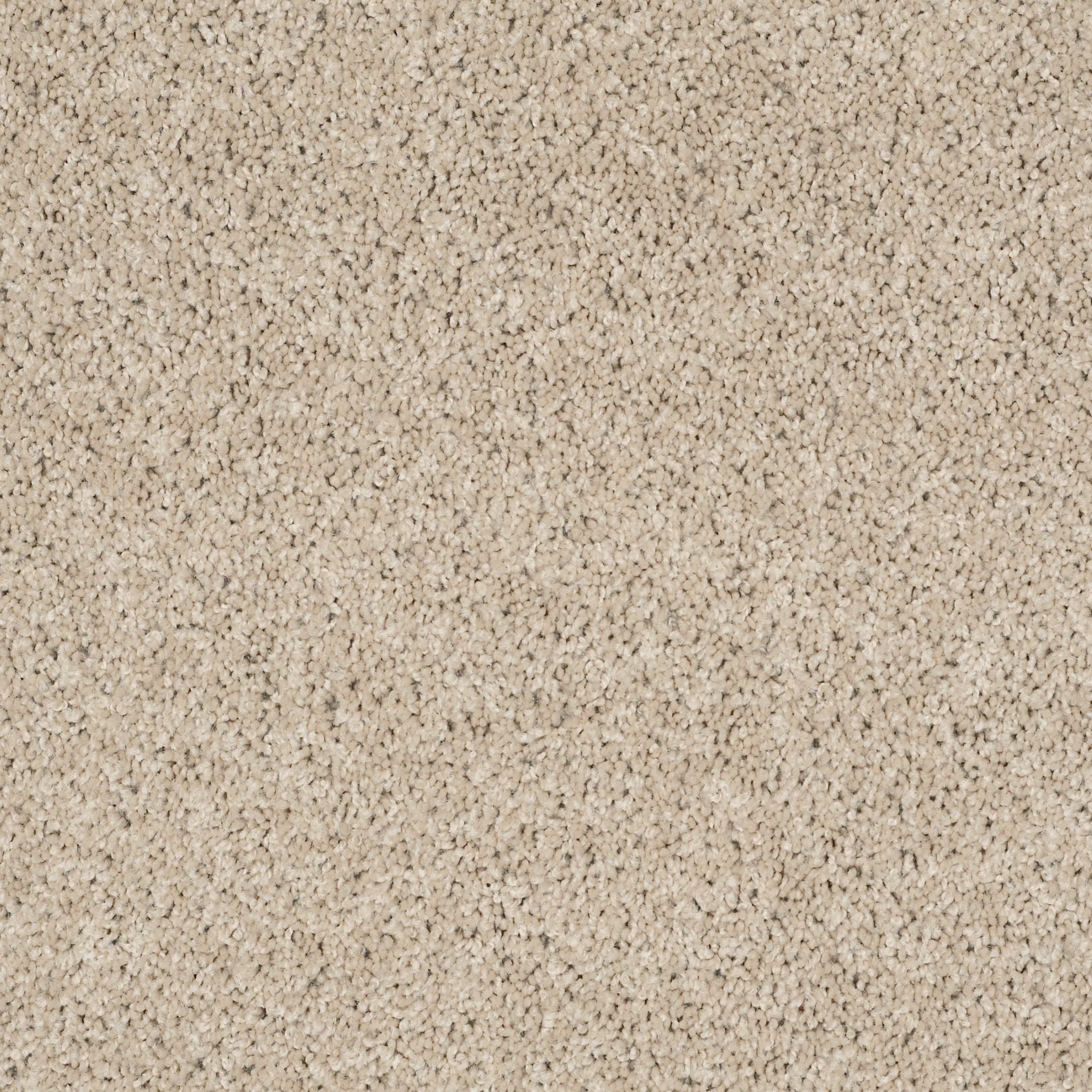 Brandon Beige
