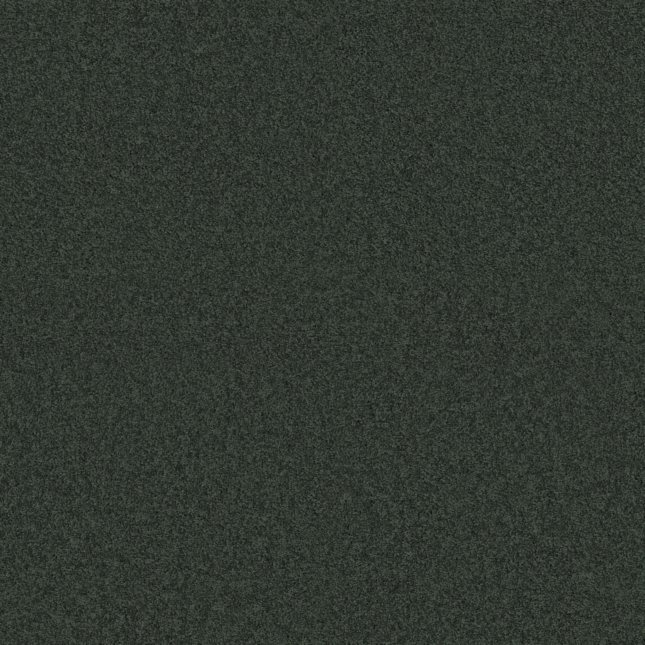 Emerald Bay I - Peaceful Garden - HGN51_00352