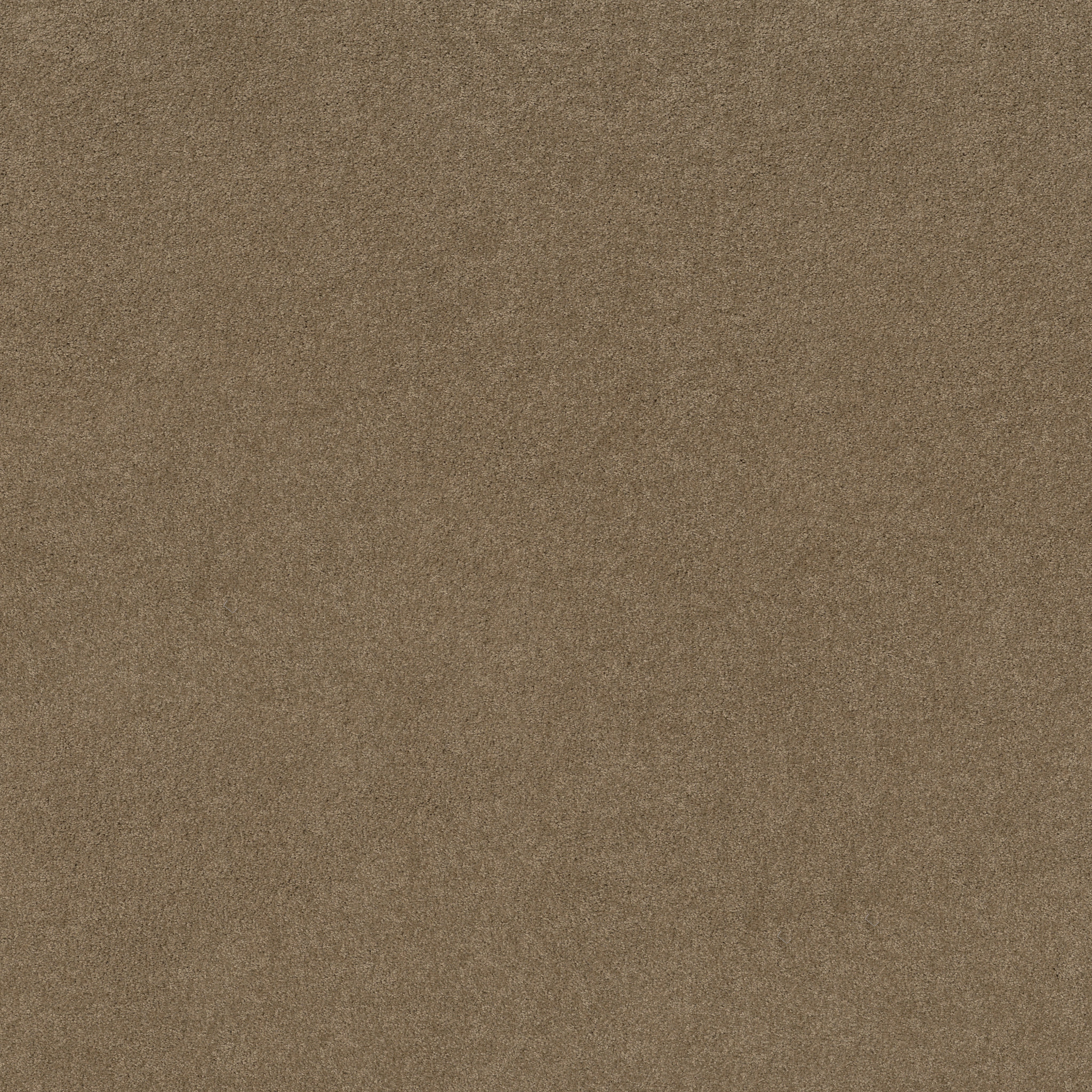 Emerald Bay I - Twig - HGN51_00702