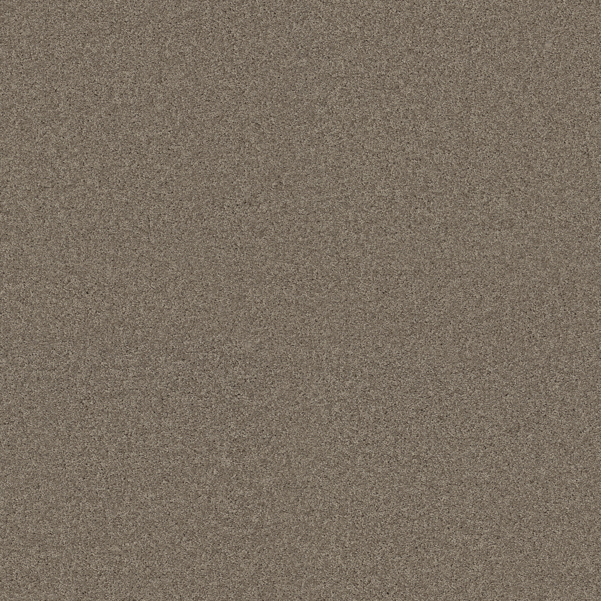 Emerald Bay I - Smooth Slate - HGN51_00704