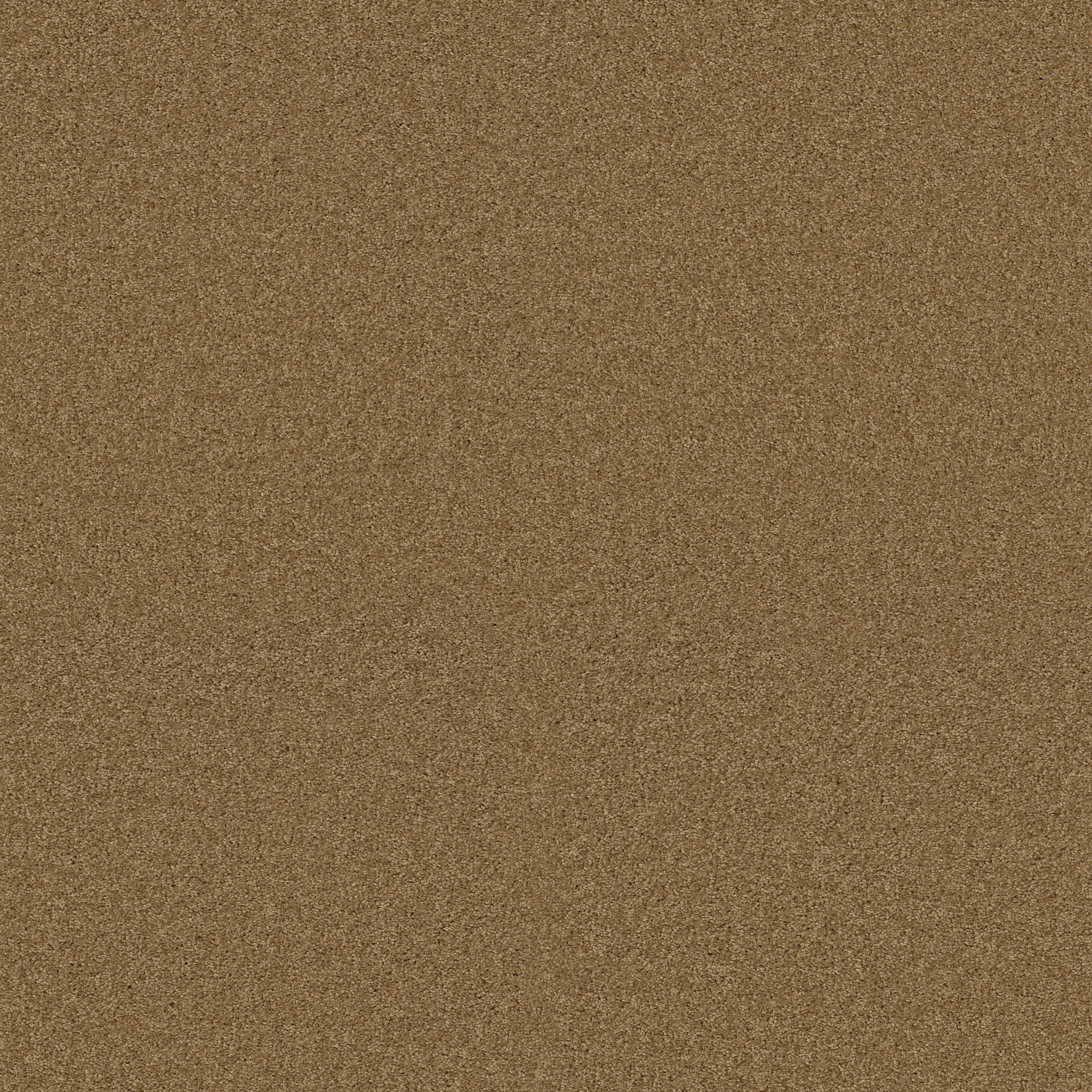 Emerald Bay I - Honey Pot - HGN51_00722