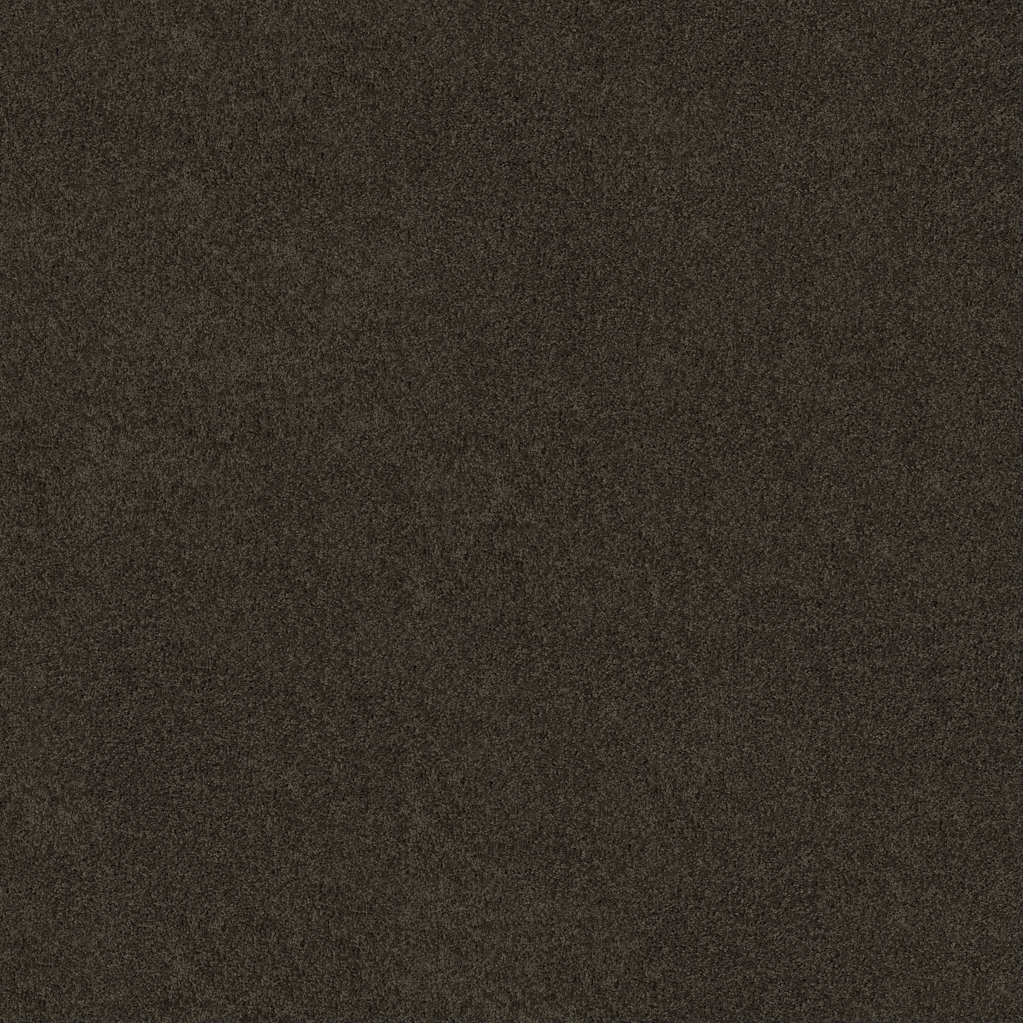 Emerald Bay I - Vintage Leather - HGN51_00755