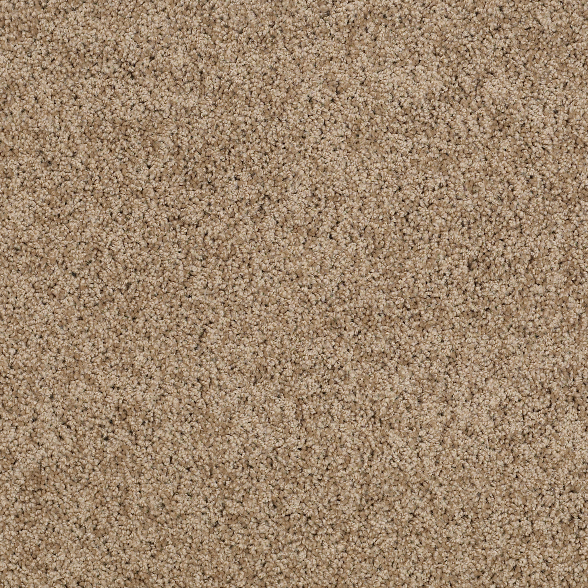 Emerald Bay II - Twig - HGN52_00702