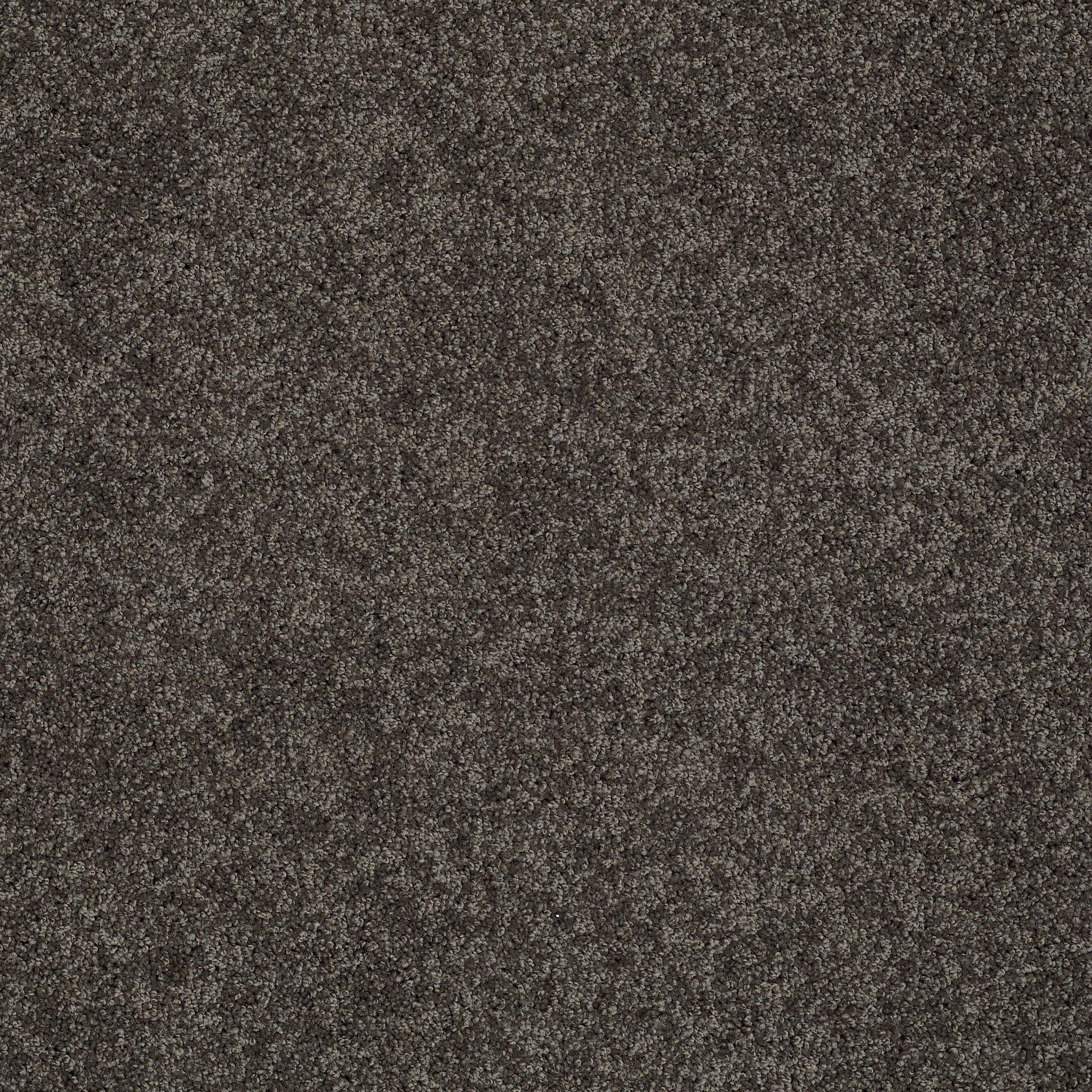 Emerald Bay II - Vintage Leather - HGN52_00755