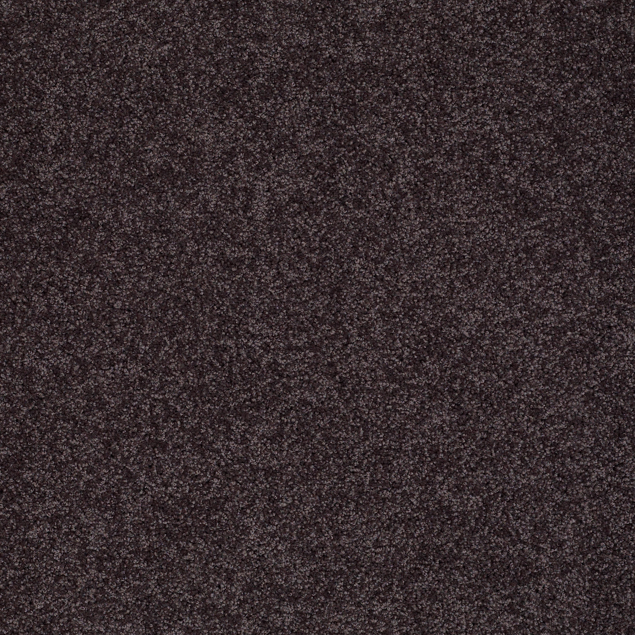 Emerald Bay II - Urban Loft - HGN52_00951