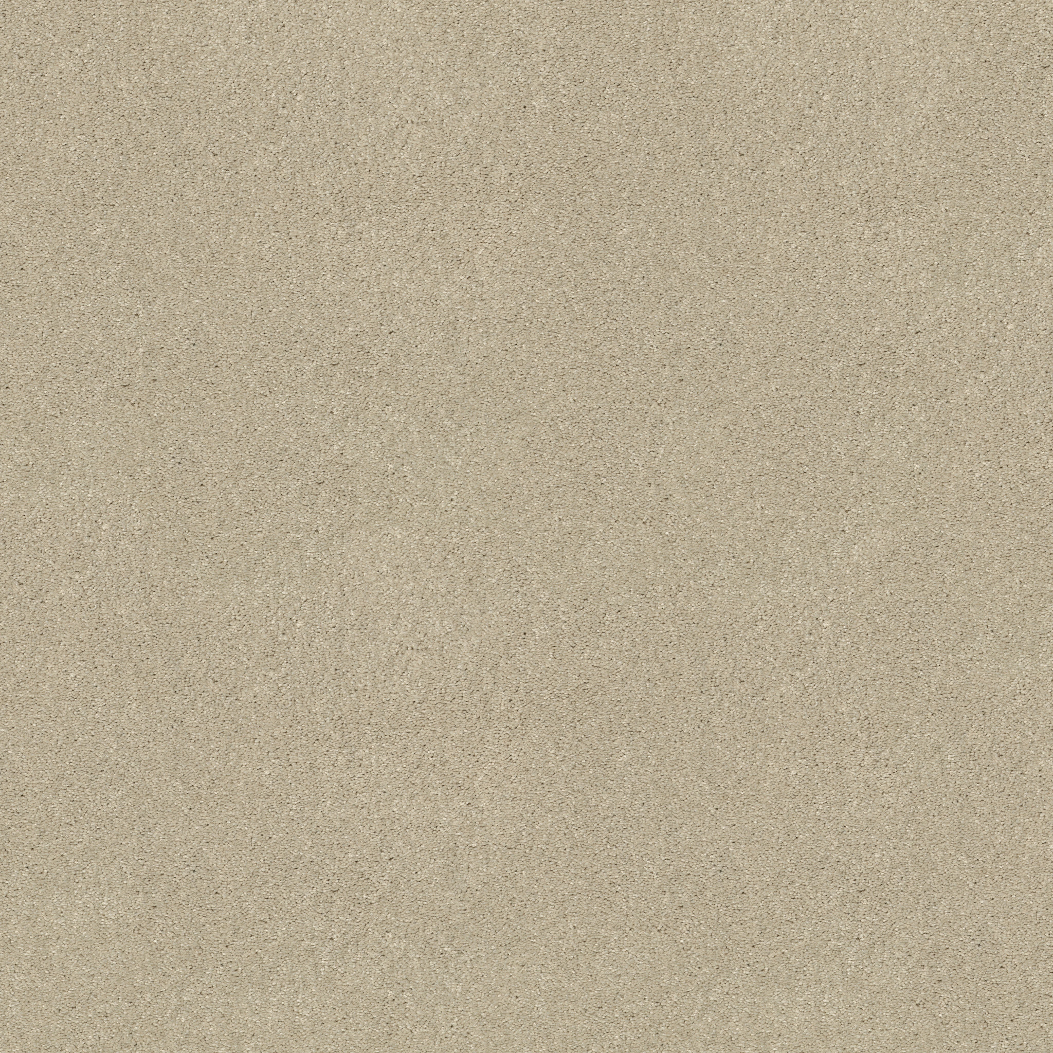 Dawson Manor I-Creamy Tint-HGN61_00101