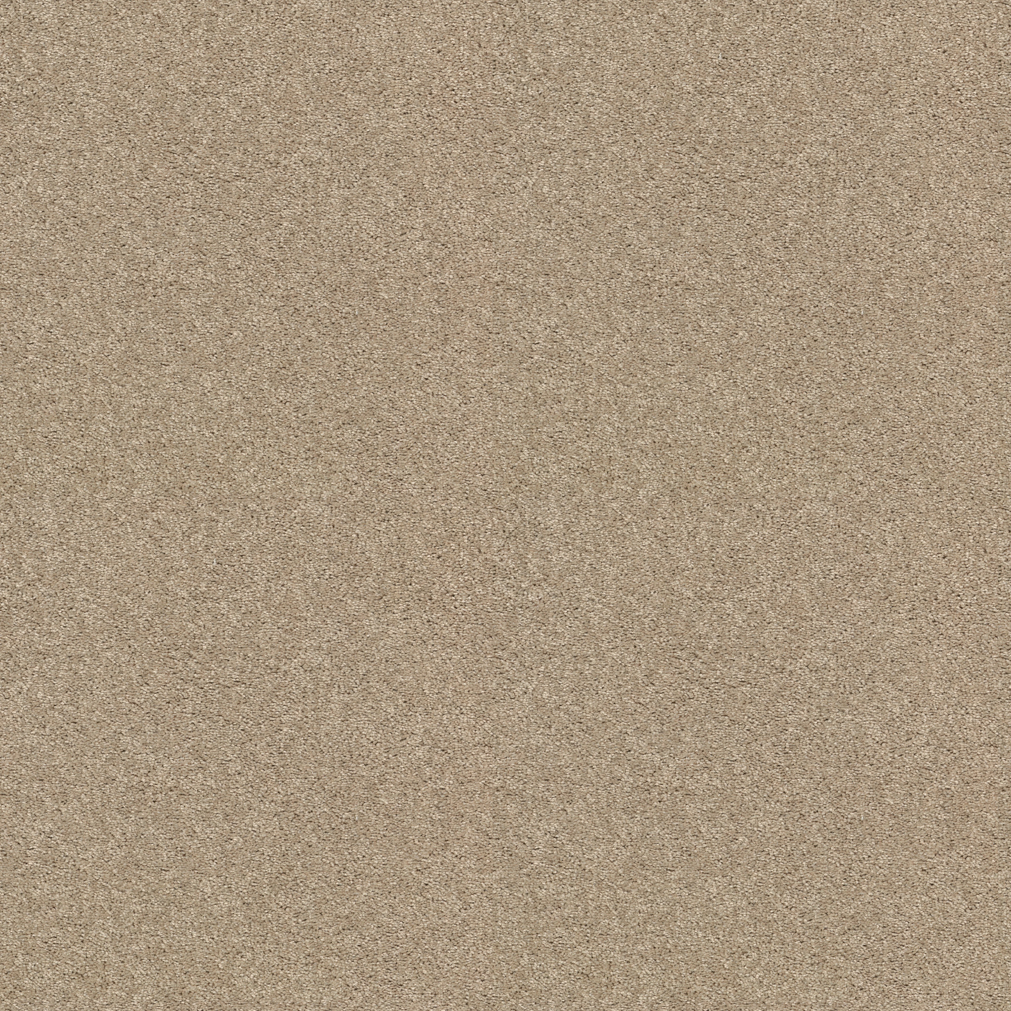 Dawson Manor I-Agate-HGN61_00102