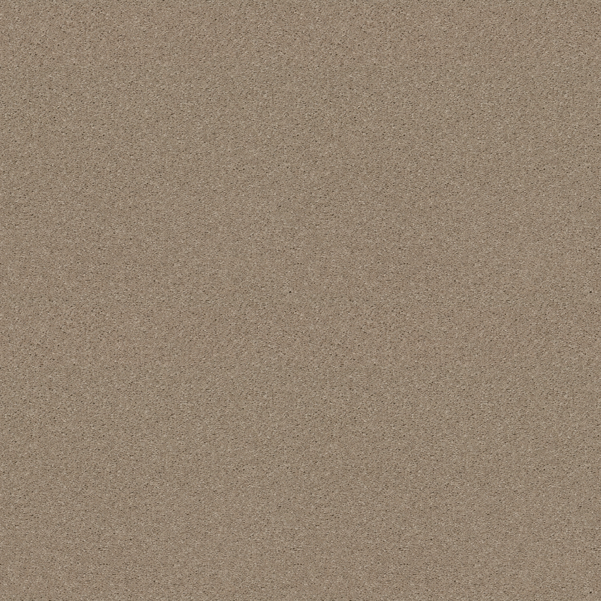 Dawson Manor I-Sandy Nook-HGN61_00104