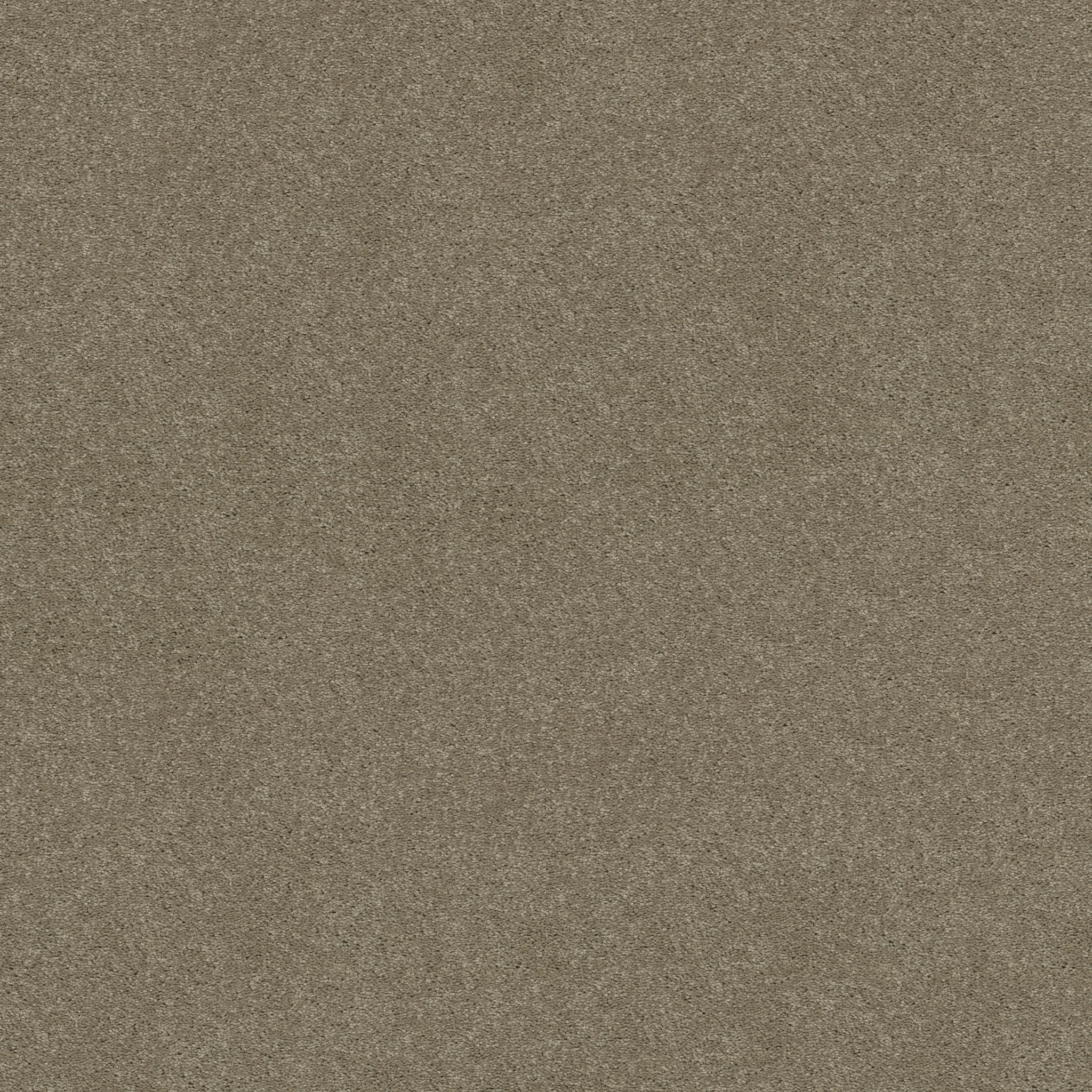 Dawson Manor I-Wild Rice-HGN61_00105