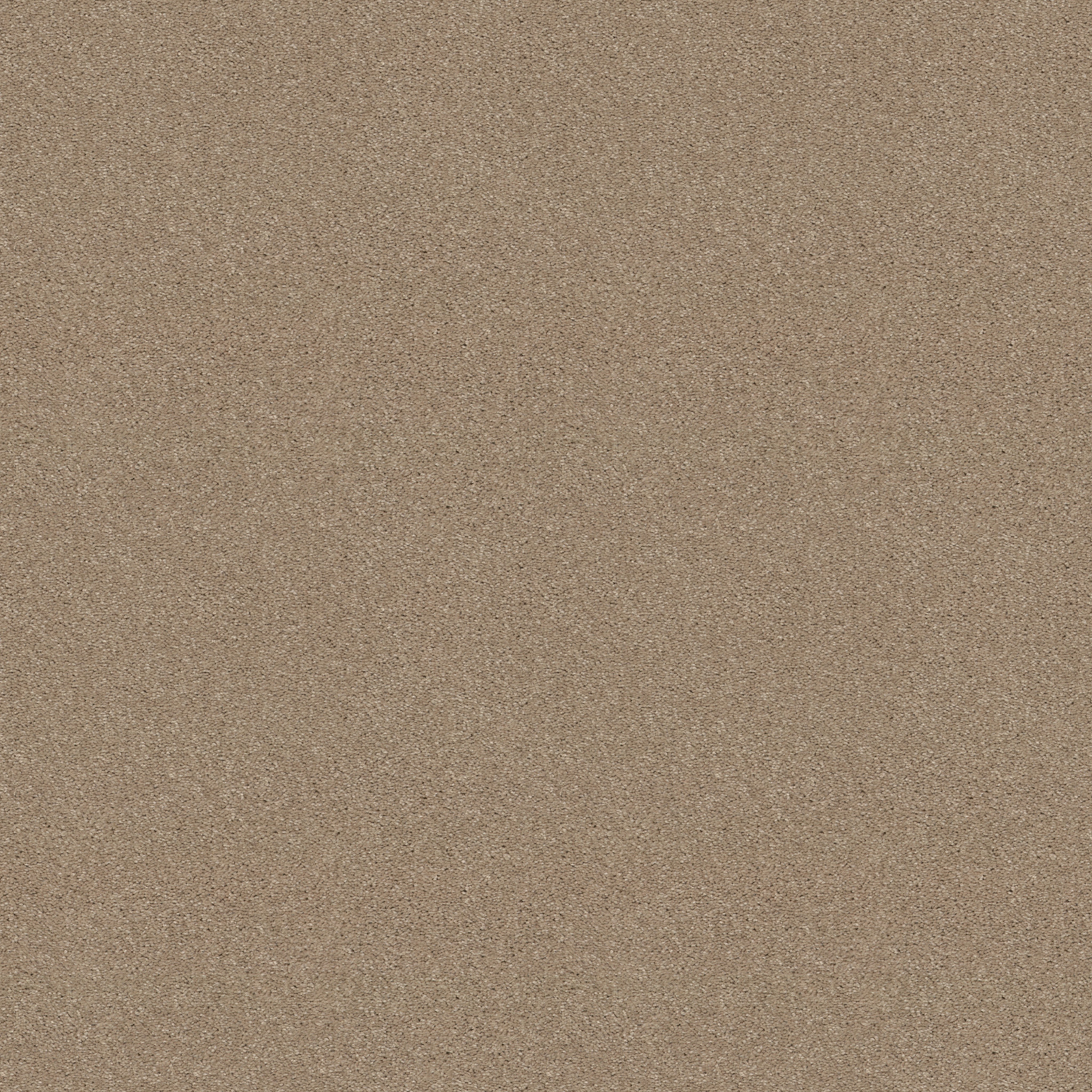 Dawson Manor I-Almond Bark-HGN61_00106