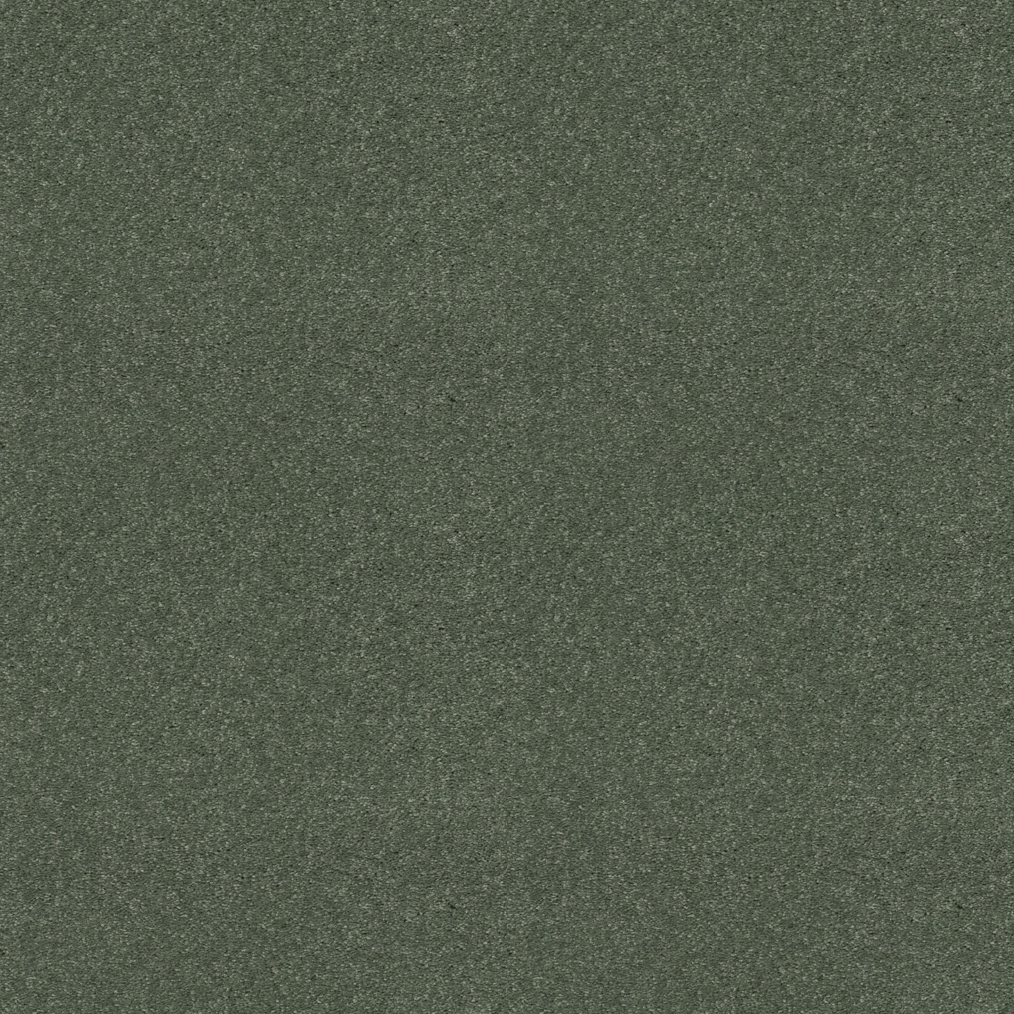 Dawson Manor I-Spring Leaf-HGN61_00300