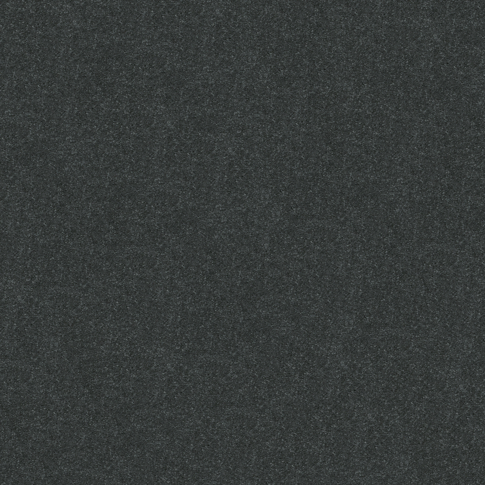 Dawson Manor I-Denim Days-HGN61_00402