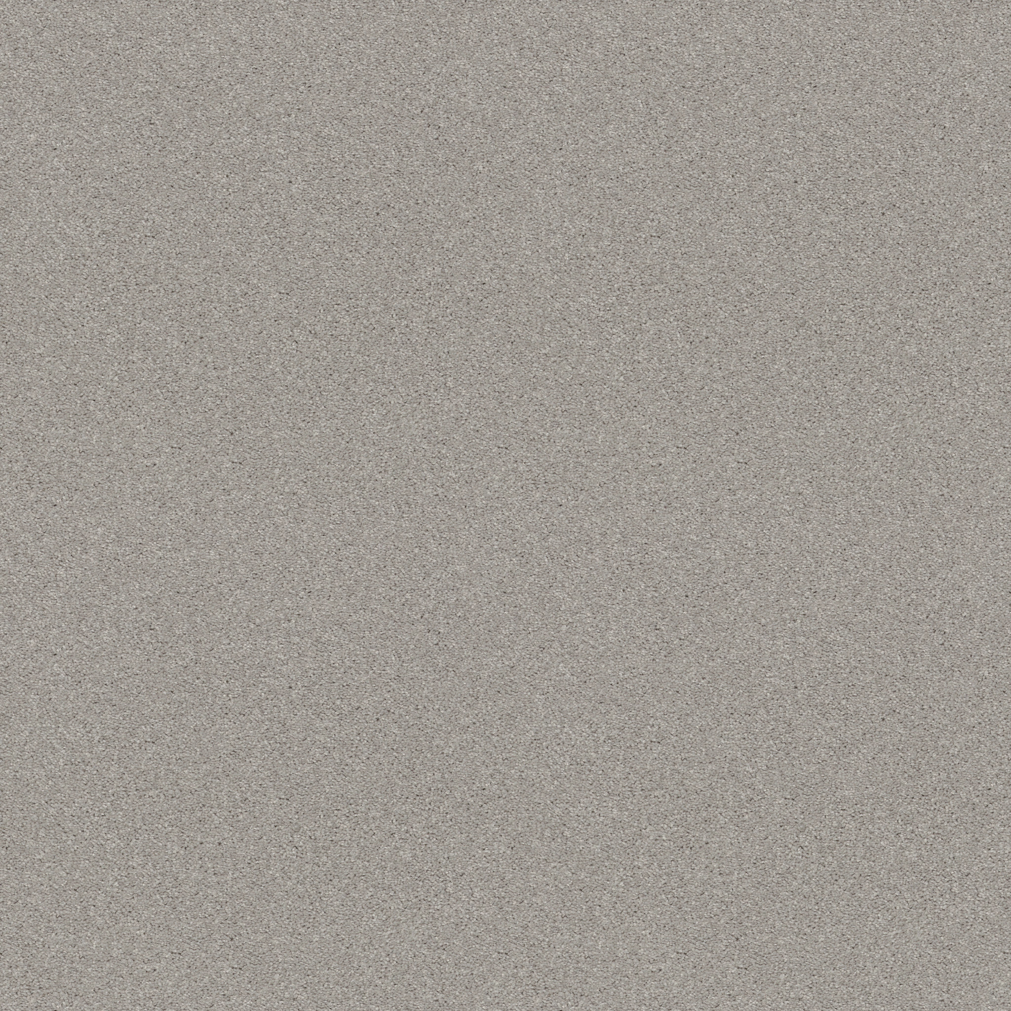 Dawson Manor I-Sheer Silver-HGN61_00500