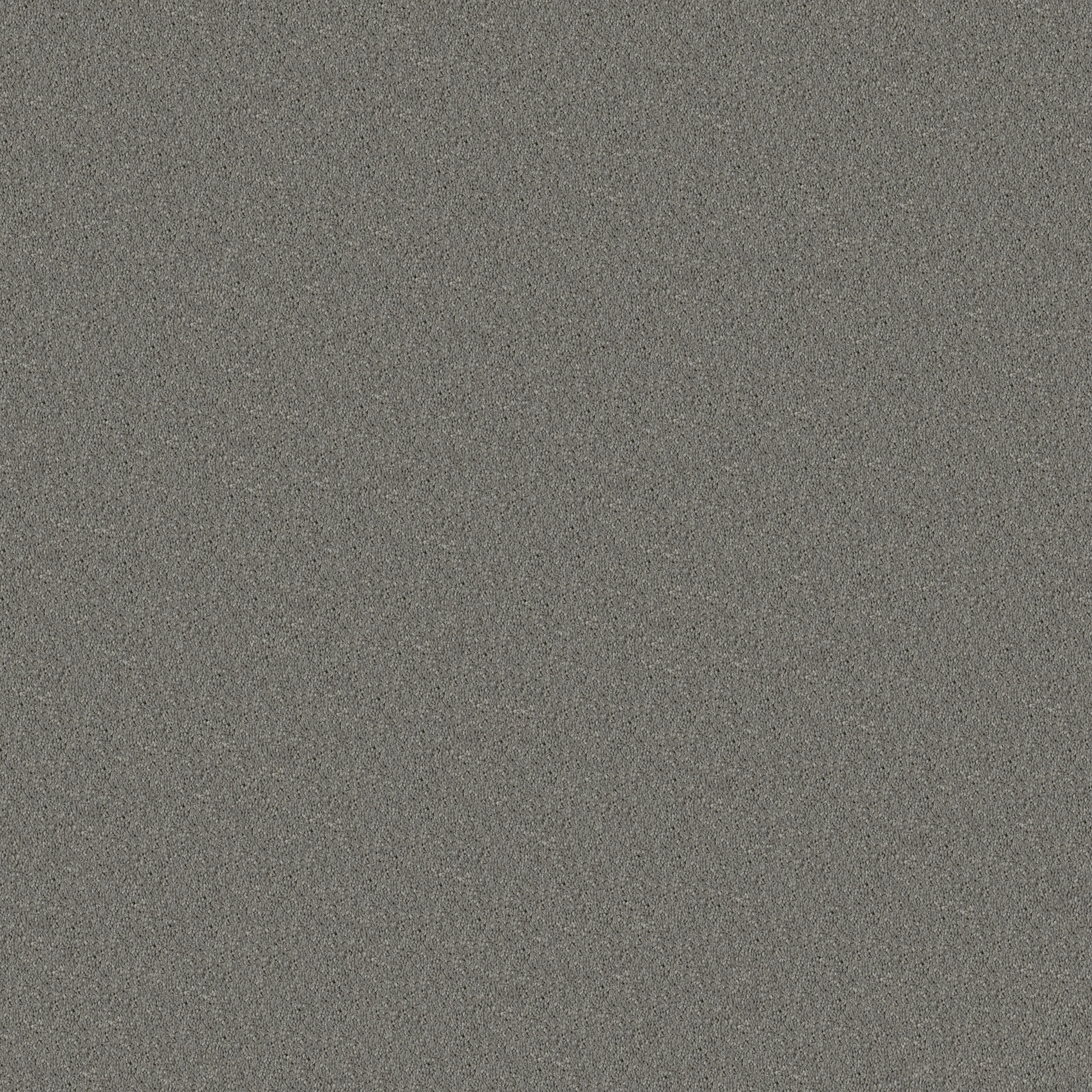 Dawson Manor I-Nickel-HGN61_00502