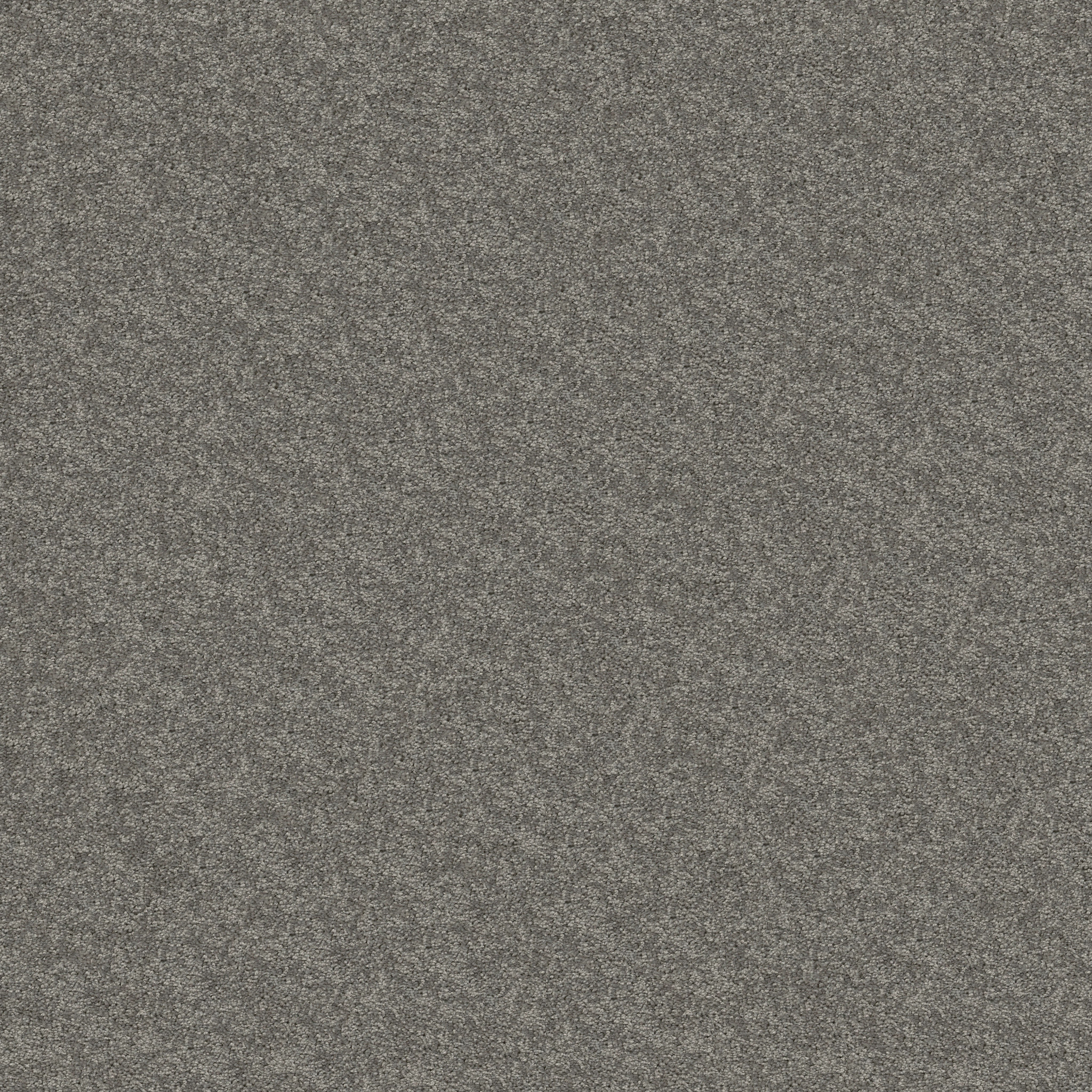 Dawson Manor I-Thunder-HGN61_00503