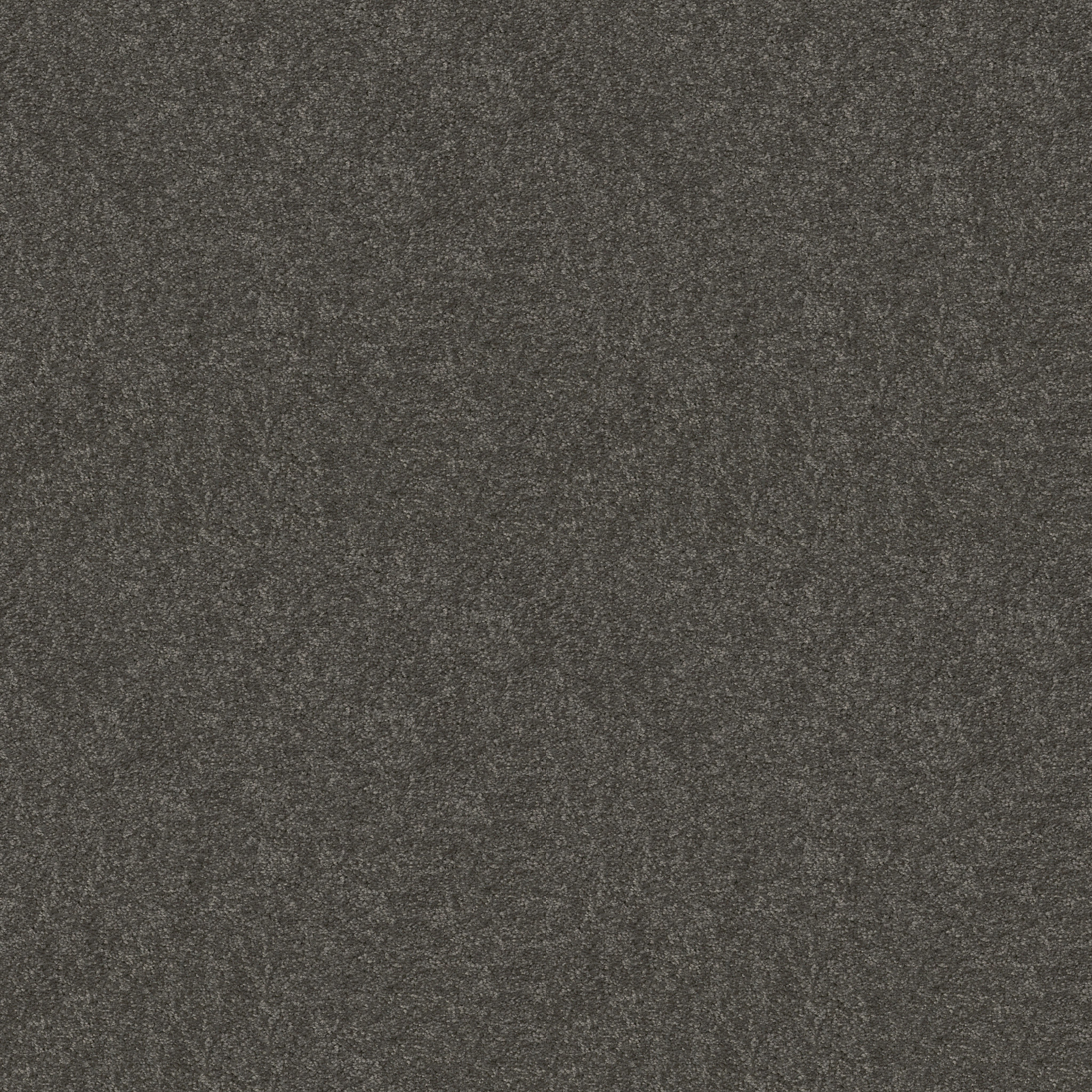 Dawson Manor I - Charcoal - HGN61_00504