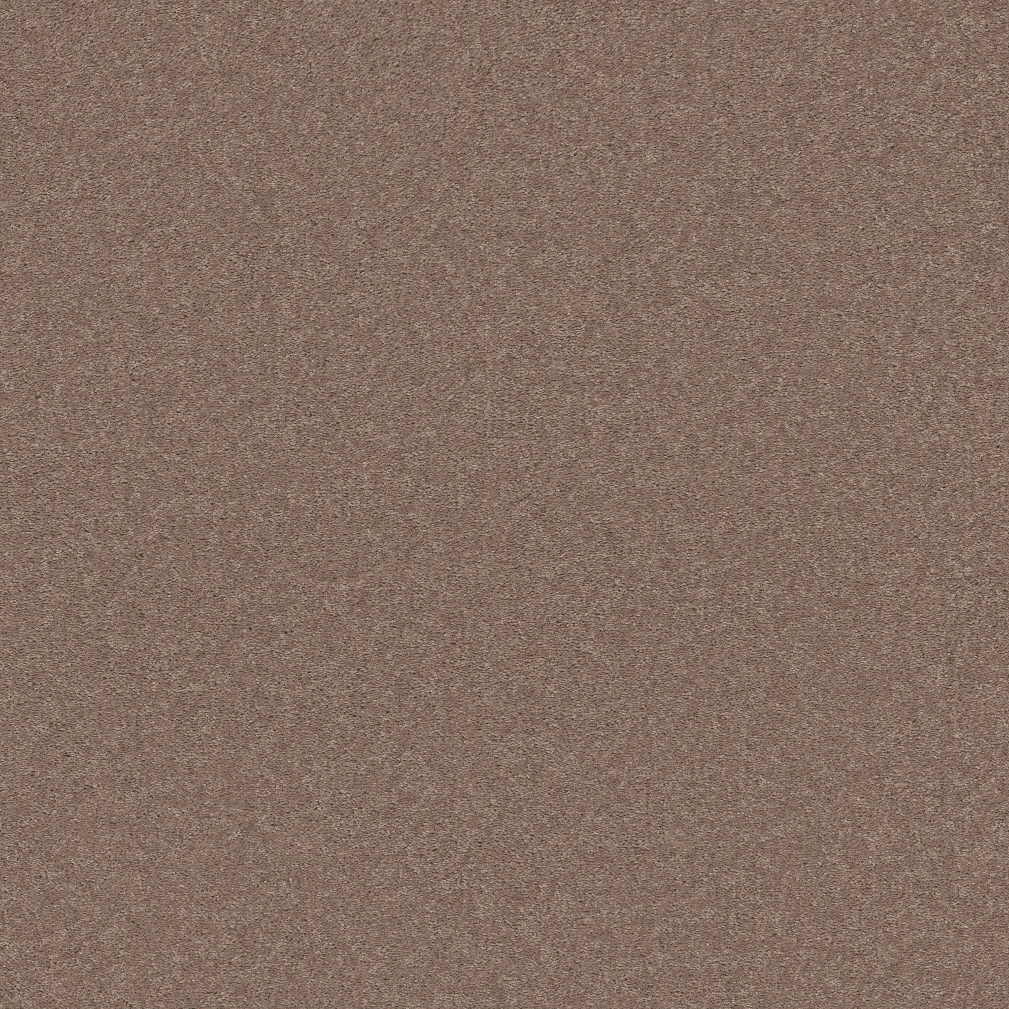 Dawson Manor I - Pebble Creek - HGN61_00701