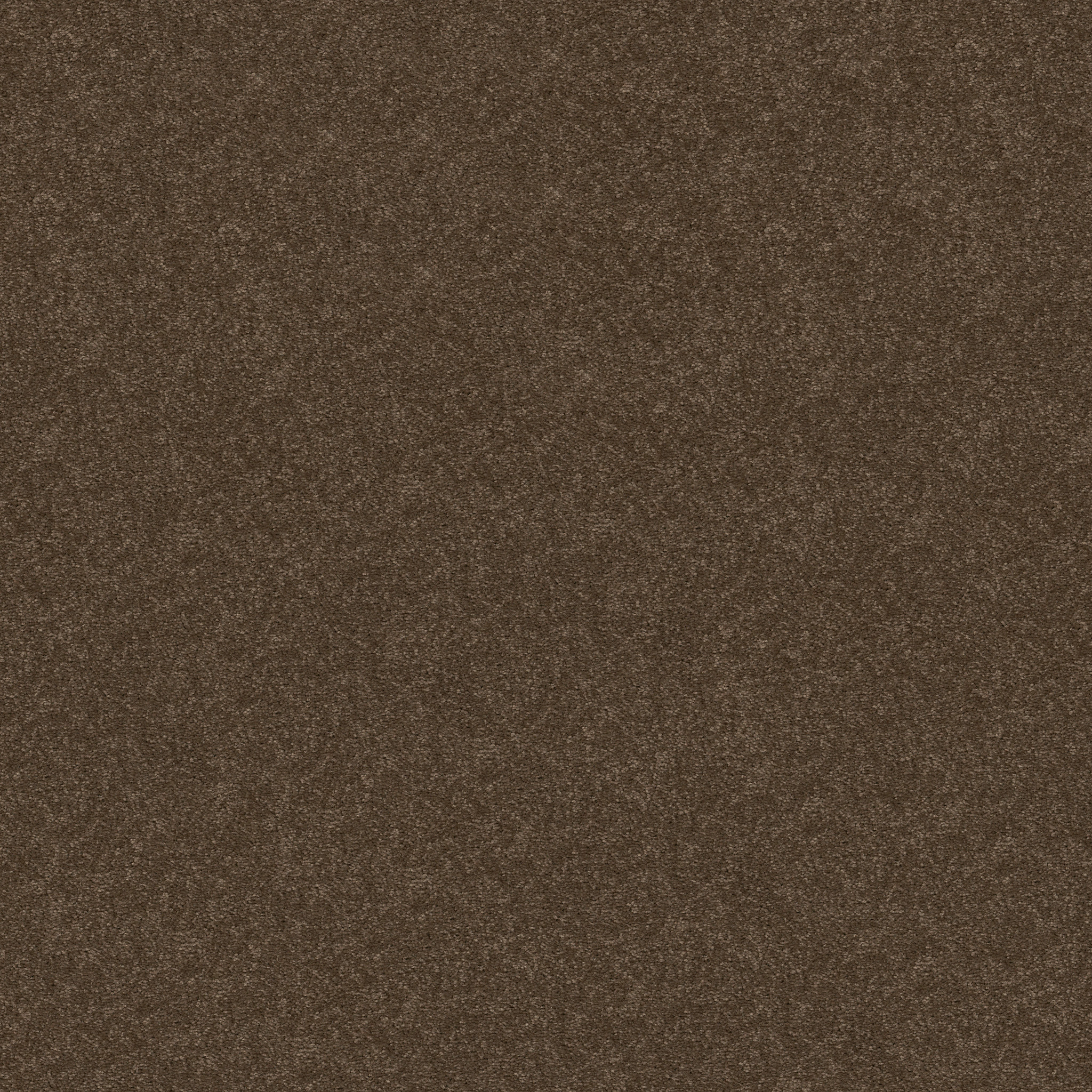 Dawson Manor I-Briar Patch-HGN61_00703