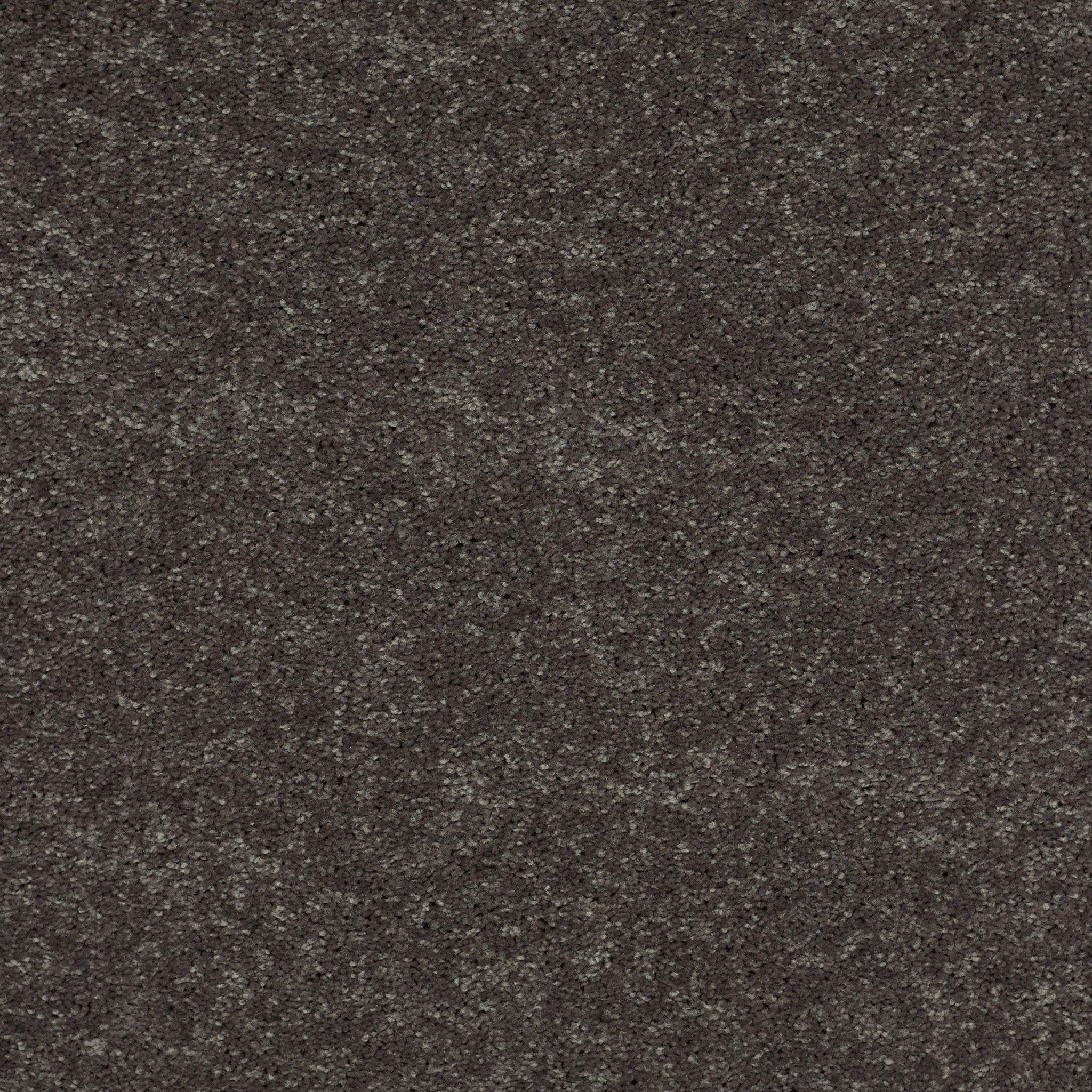 Dawson Manor II - Charcoal - HGN67_00504