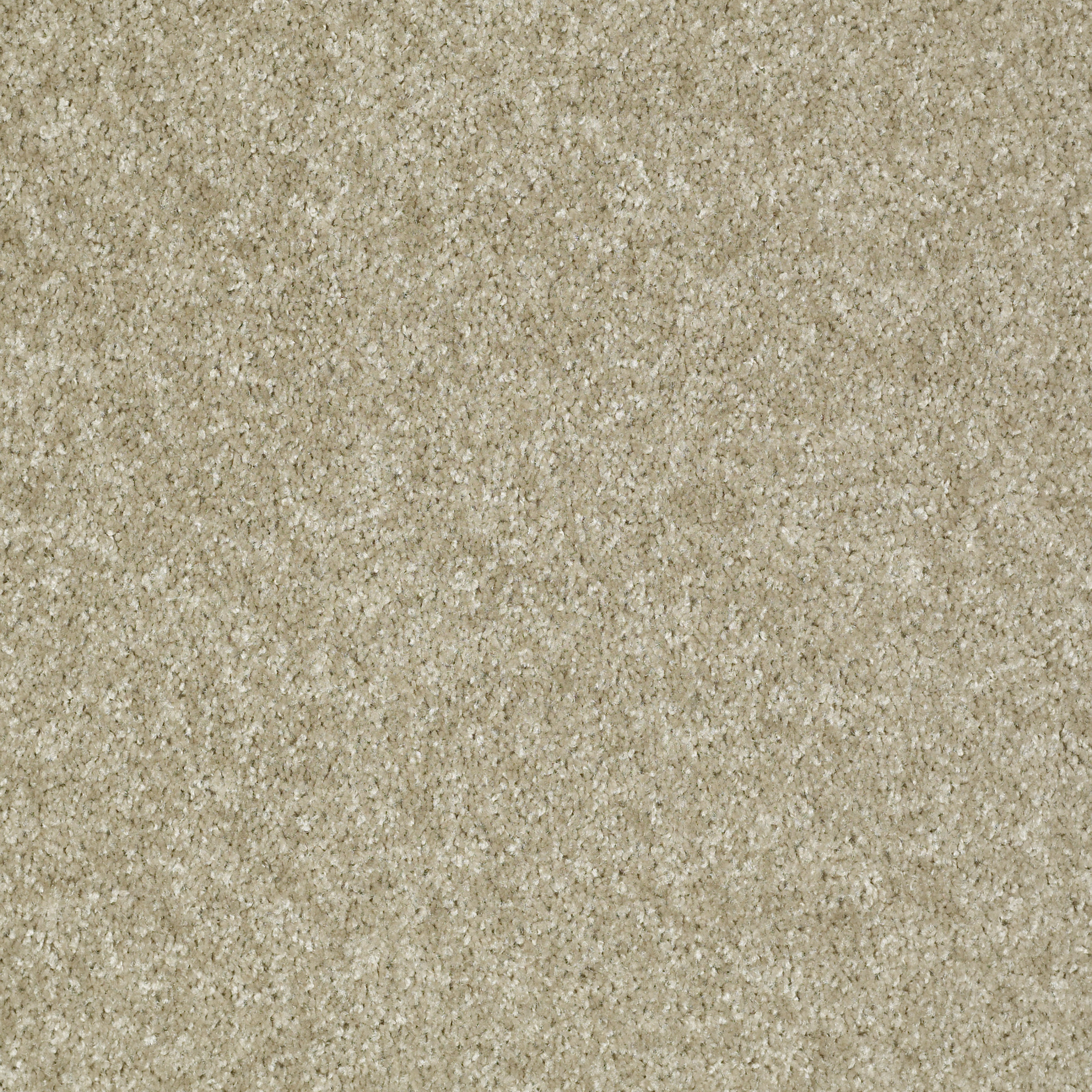 Jet Liner II-Adonis-HGN71_00135