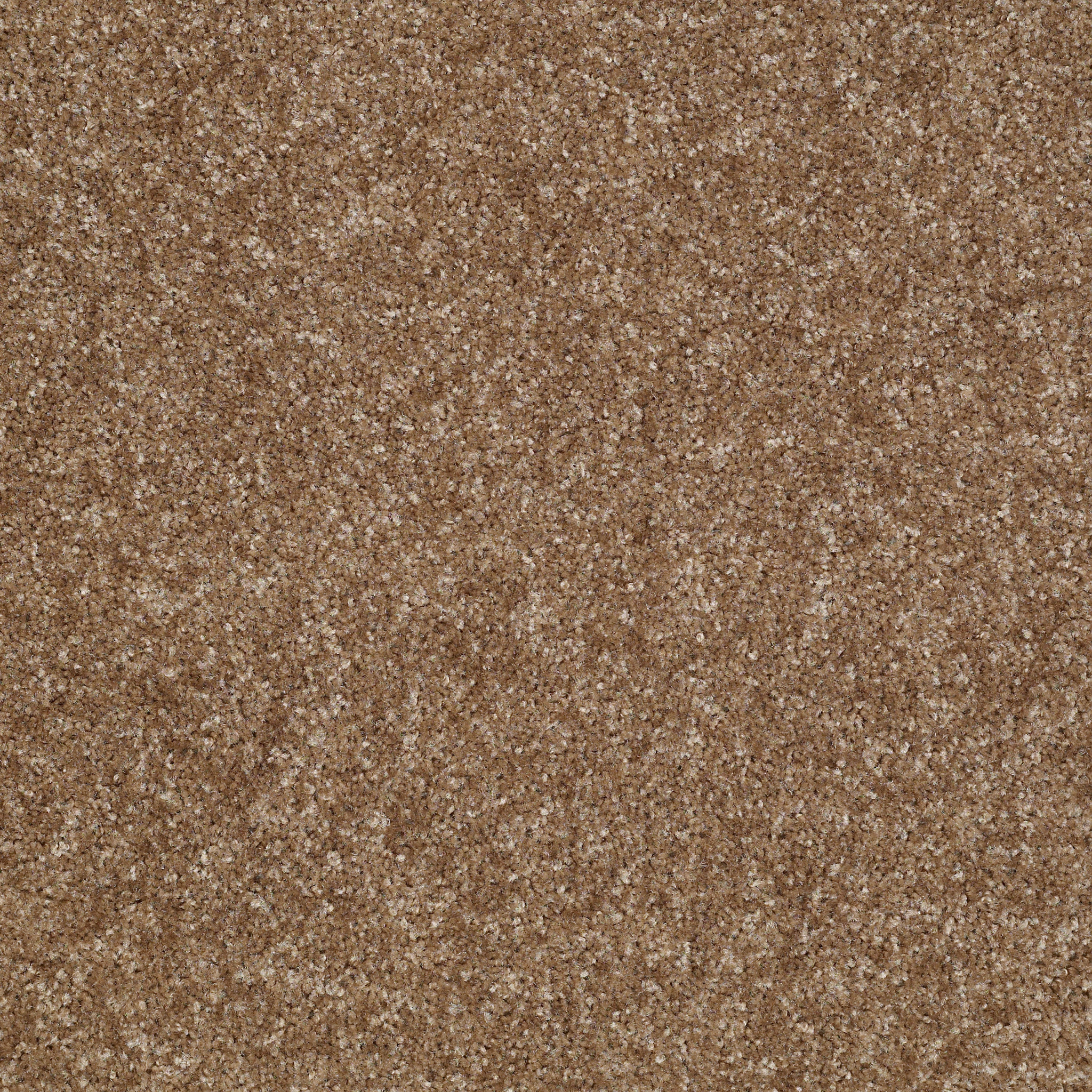 Jet Liner II-Bannister-HGN71_00732