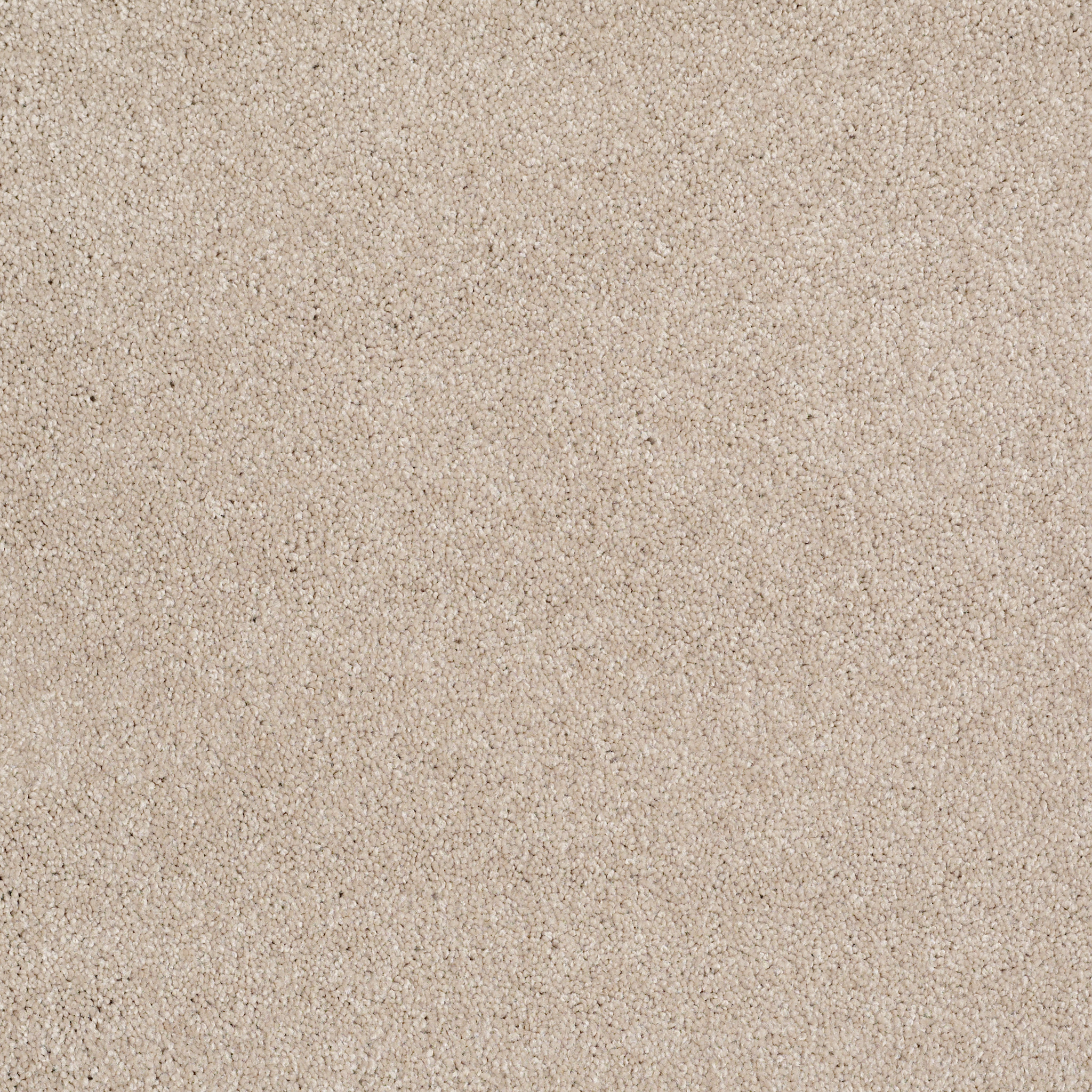 Peachtree II (S)-French Canvas-HGN89_00102