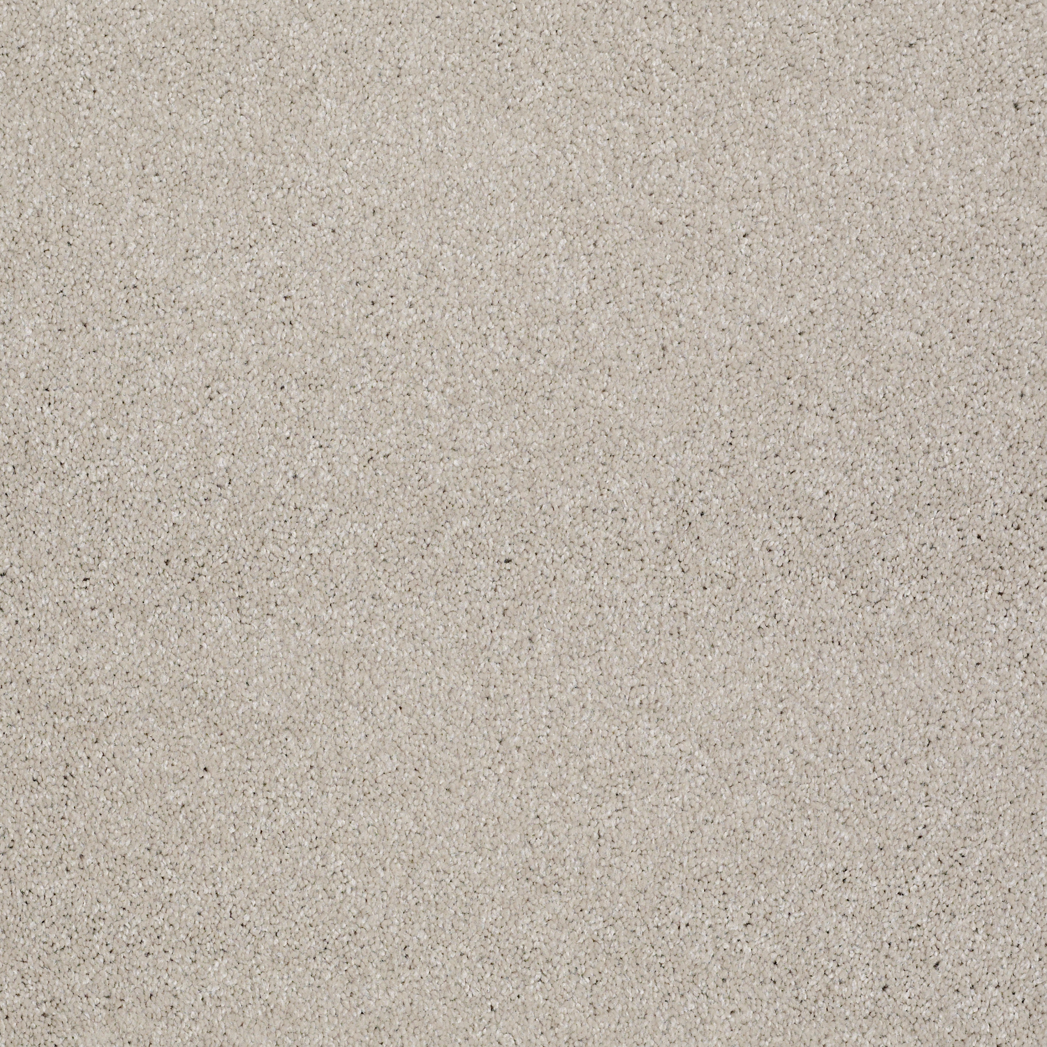 Peachtree II (S)-Soft Chamois-HGN89_00103