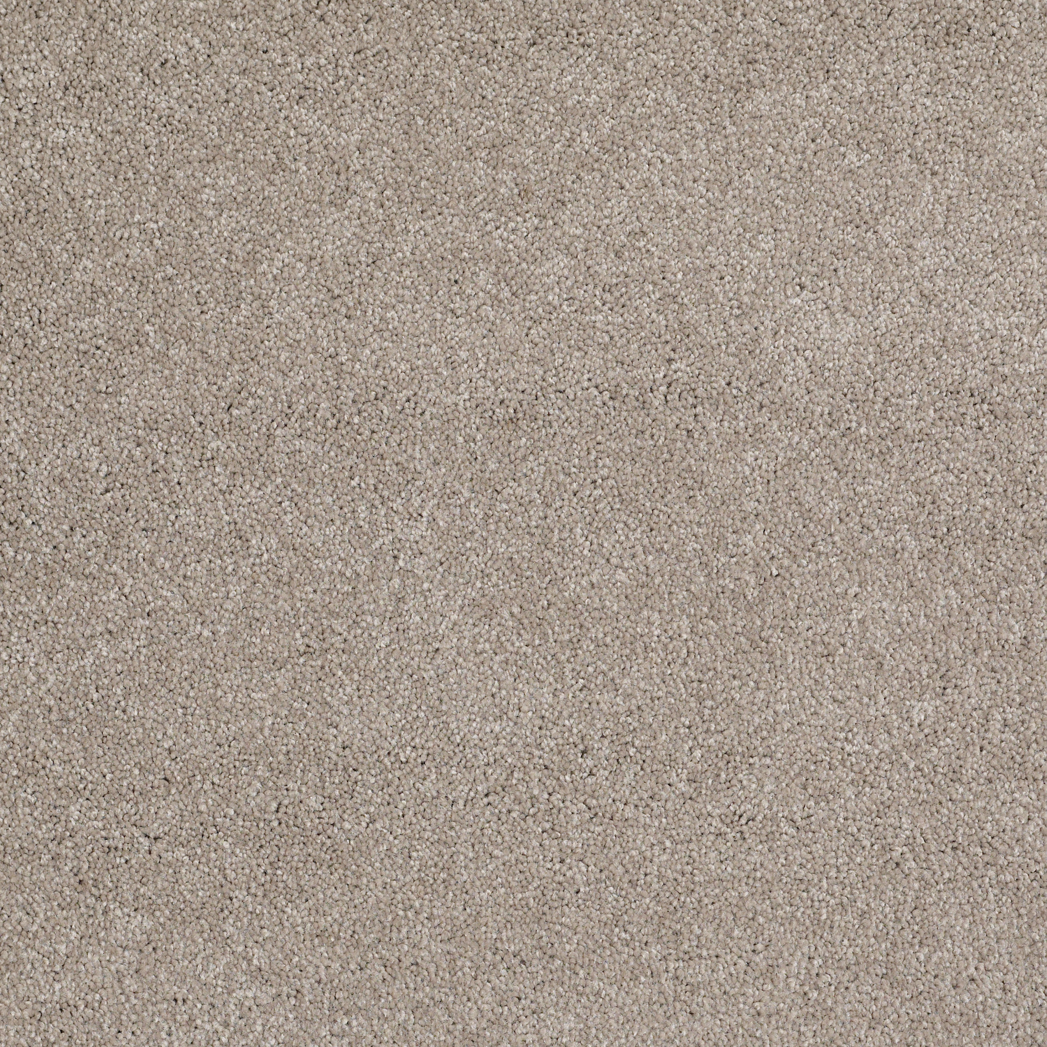 Peachtree II (S)-Mocha Cream-HGN89_00105