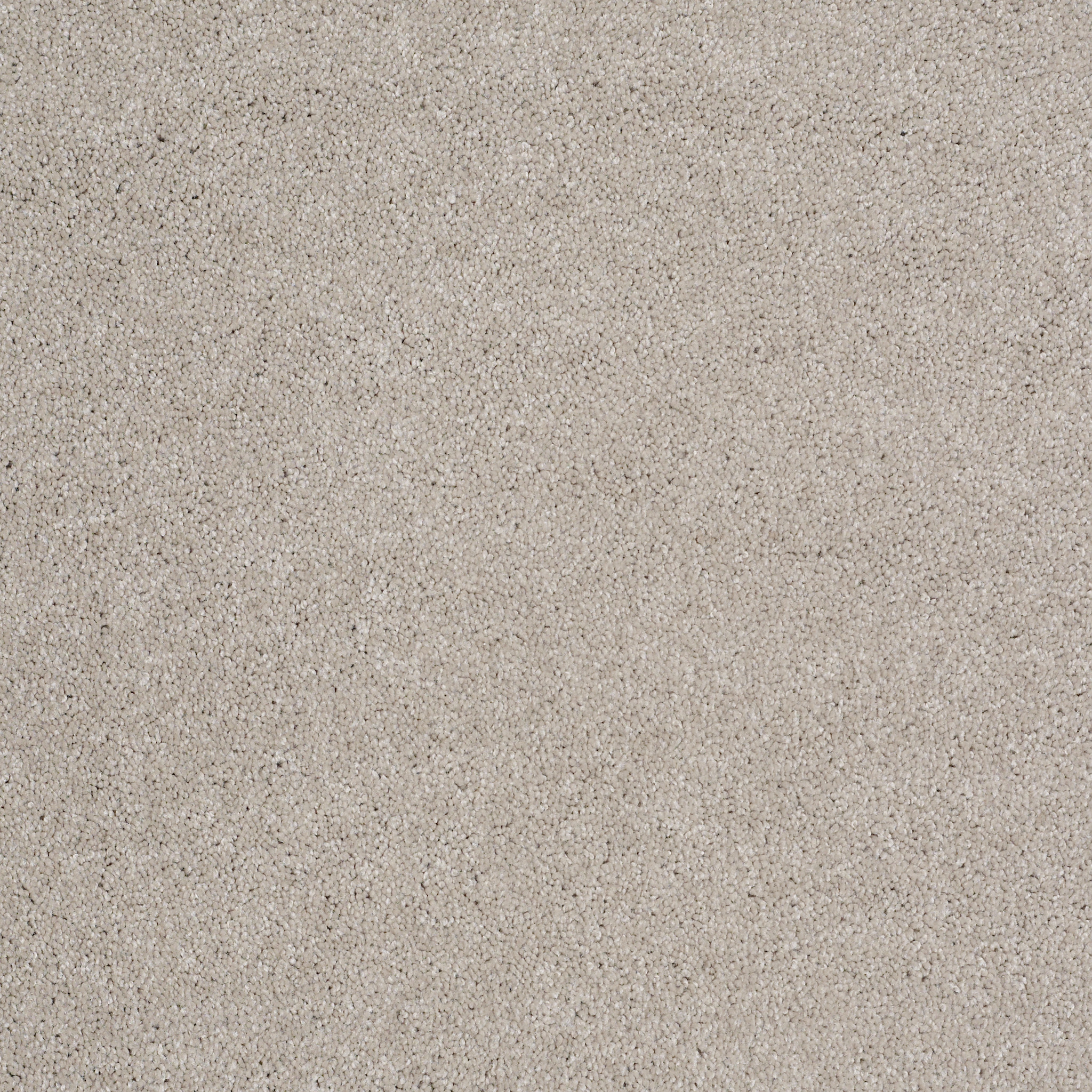 Peachtree II (S)-Greige-HGN89_00106