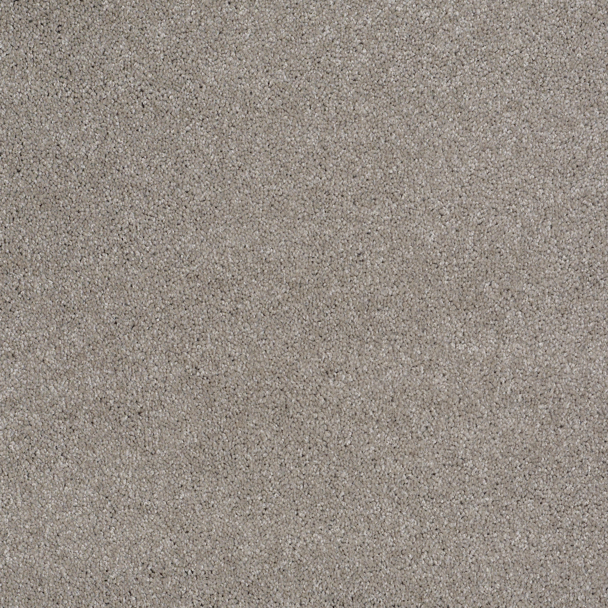 Peachtree II (S)-Radiance-HGN89_00500