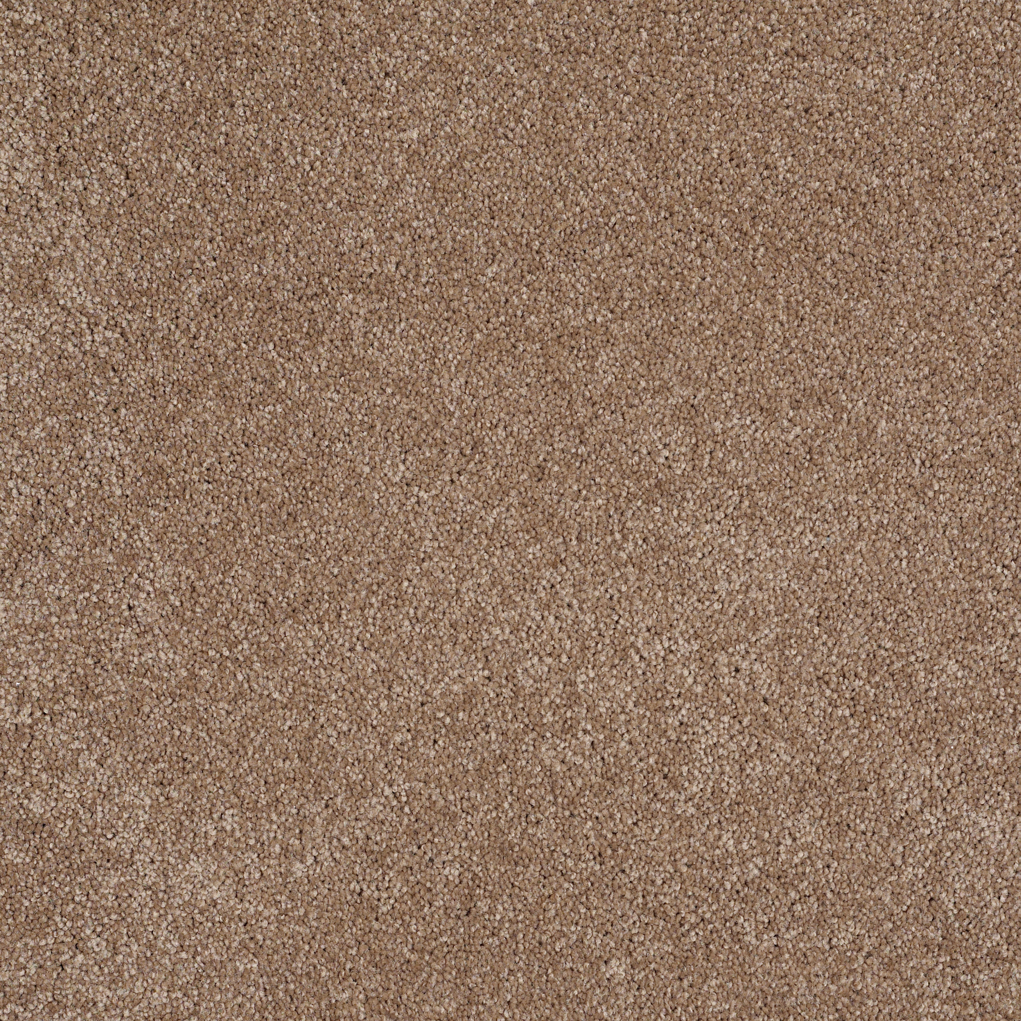 Peachtree II (S)-Acorn-HGN89_00700