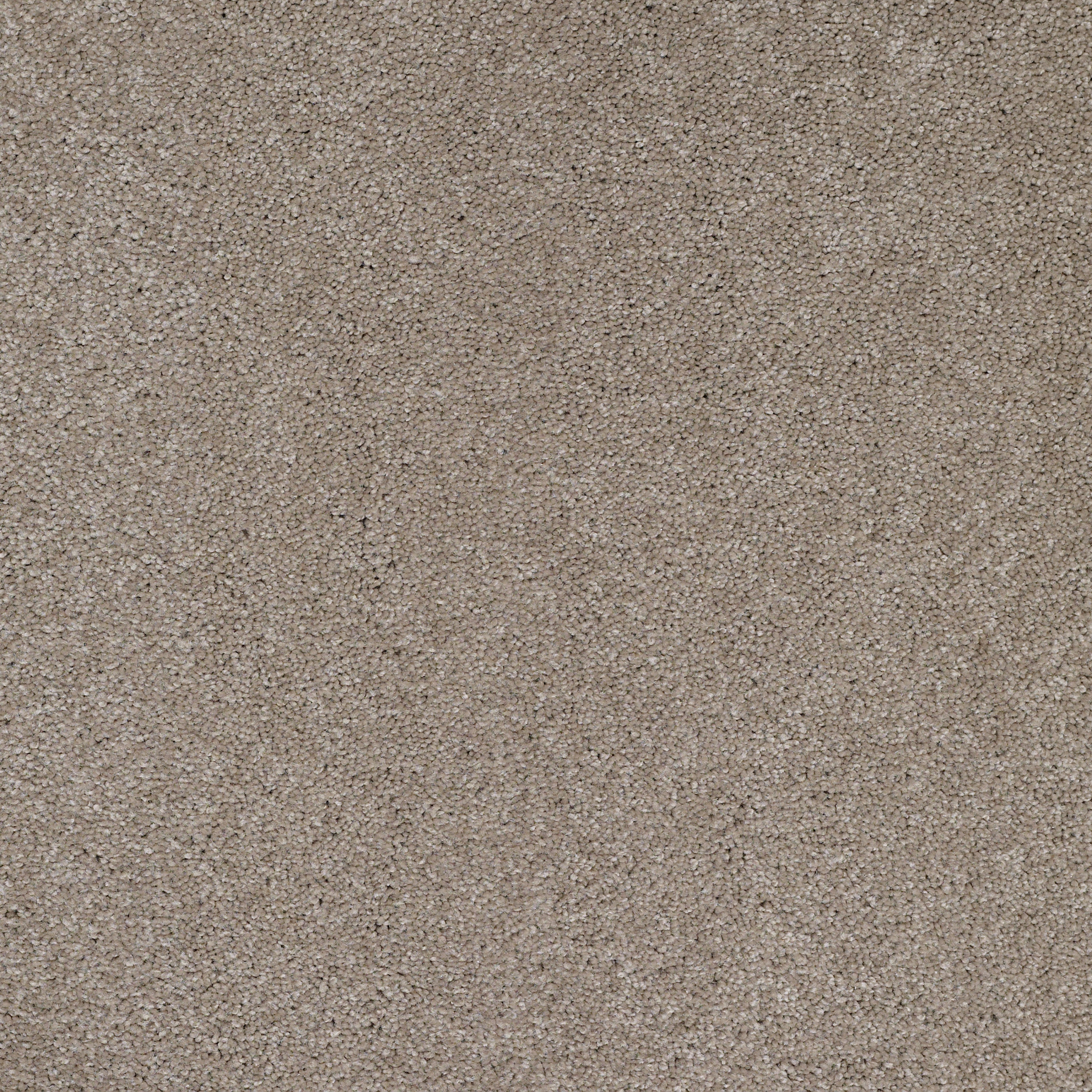 Peachtree II (S)-Havana-HGN89_00701