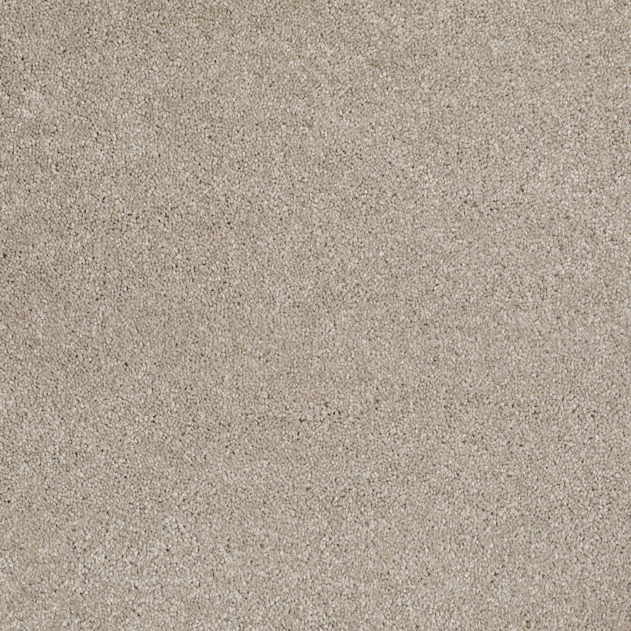 Peachtree II (S)-Coastal Fog-HGN89_00702