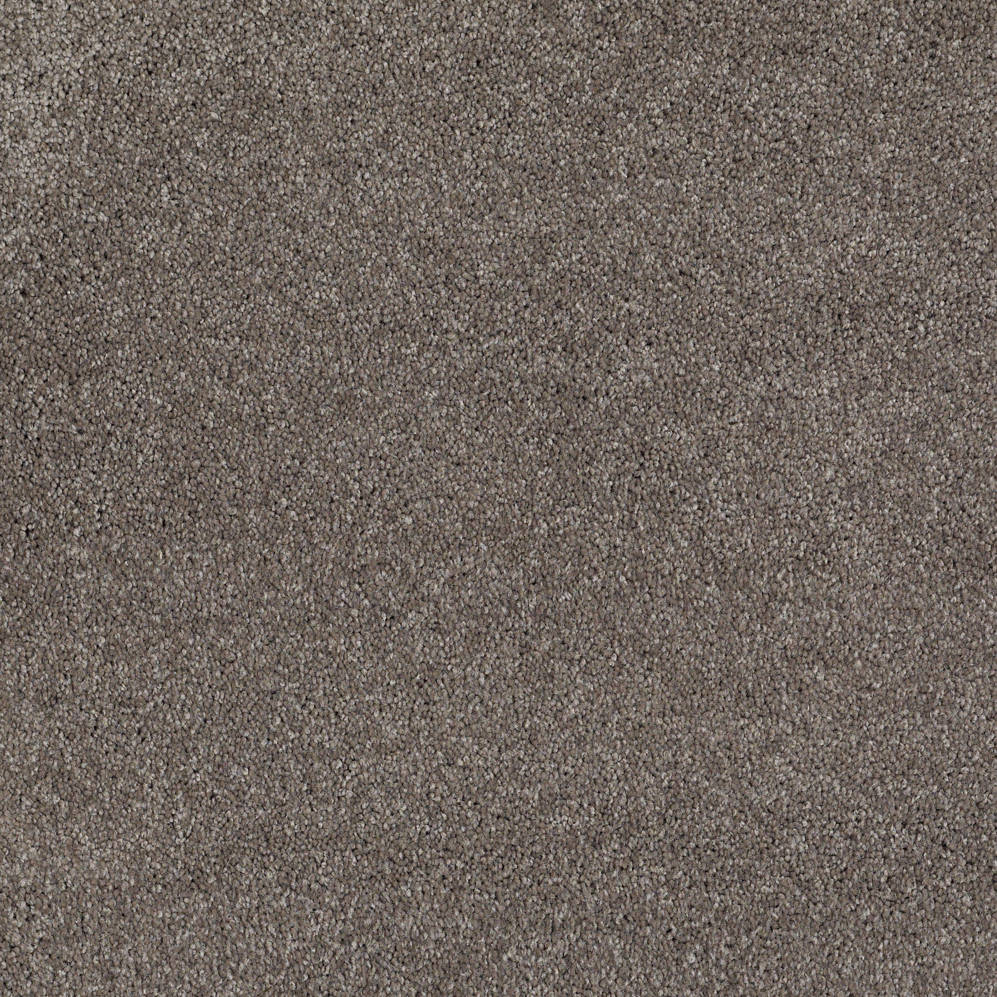 Peachtree II (S)-Stone Hearth-HGN89_00703