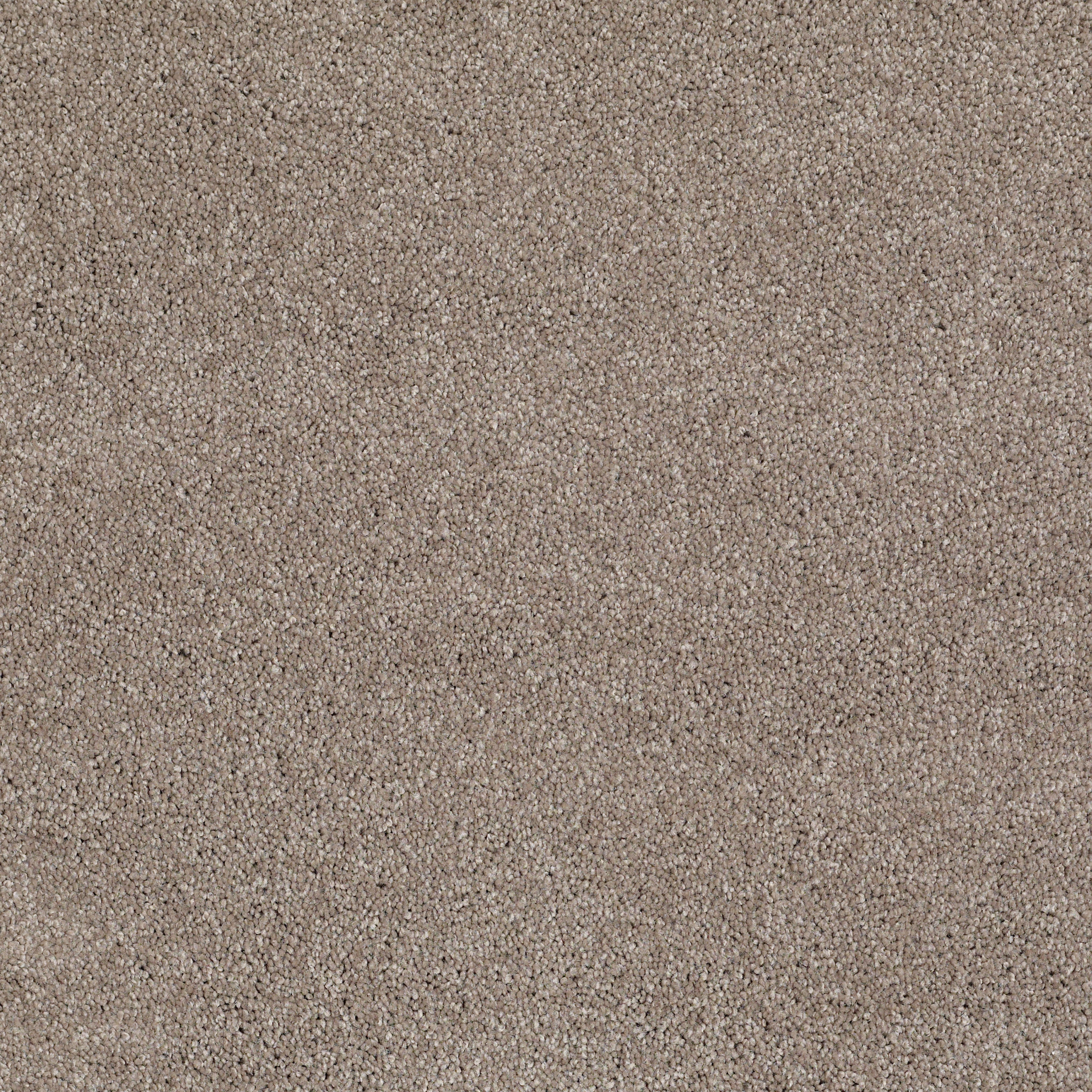 Peachtree II (S)-Ashen-HGN89_00704