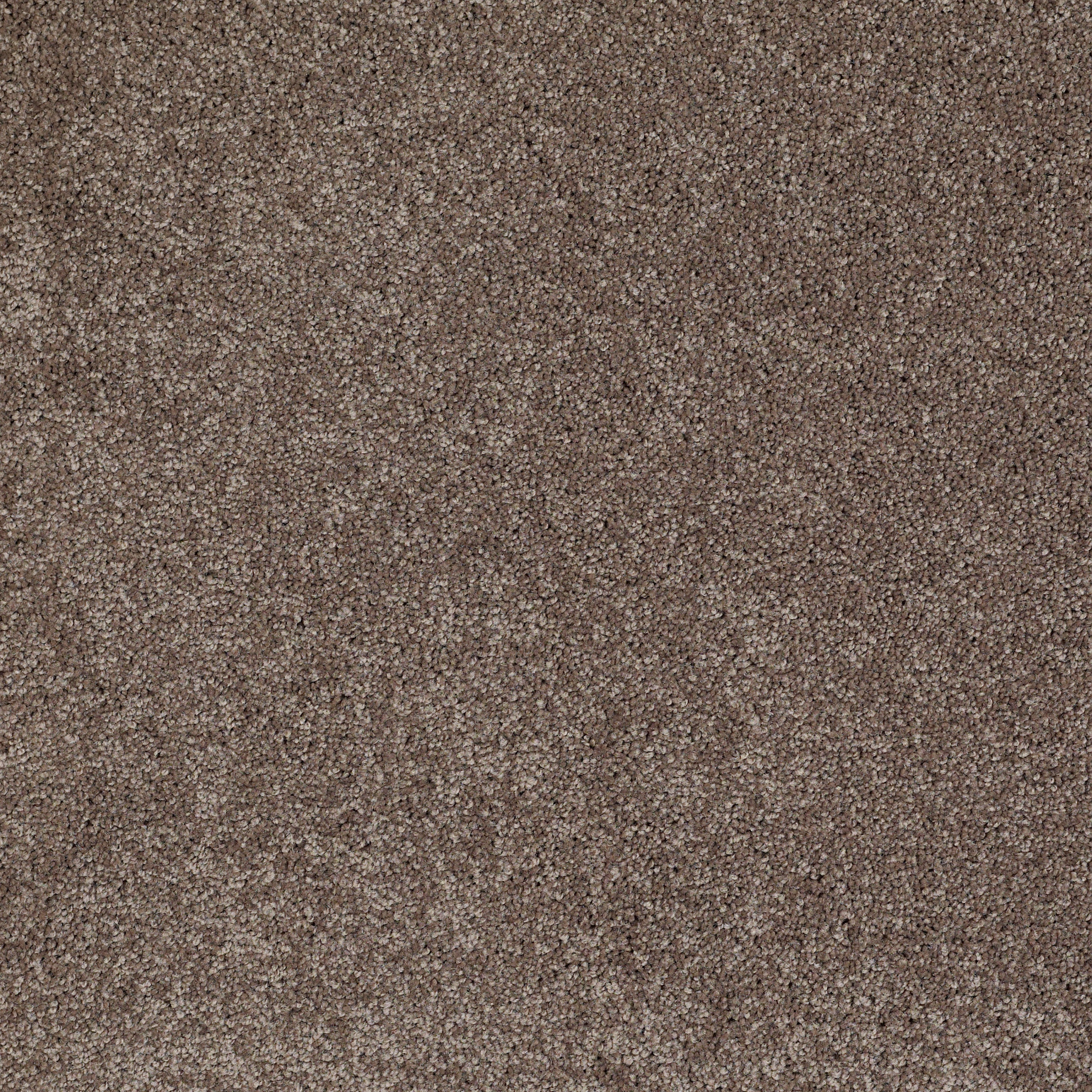 Peachtree II (S)-Rustic Taupe-HGN89_00706