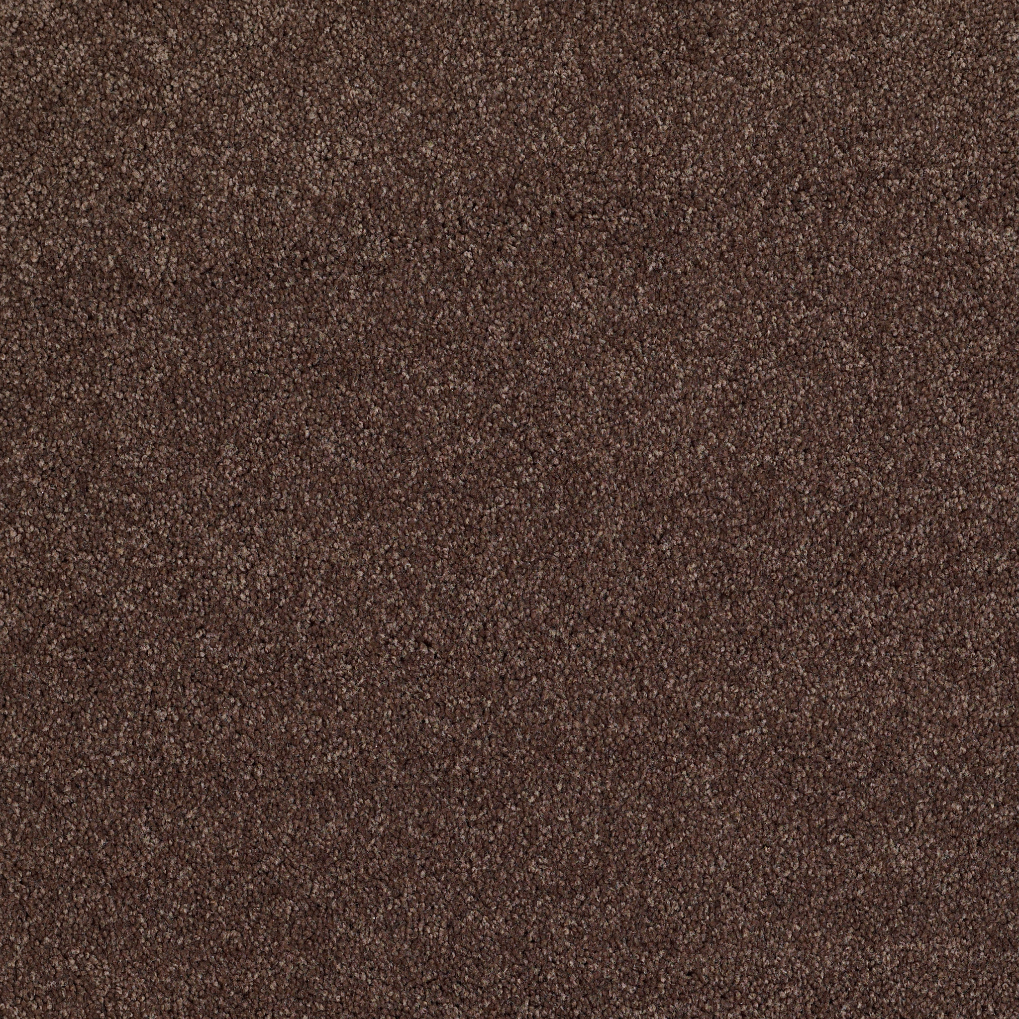 Peachtree II (S)-Maple-HGN89_00707