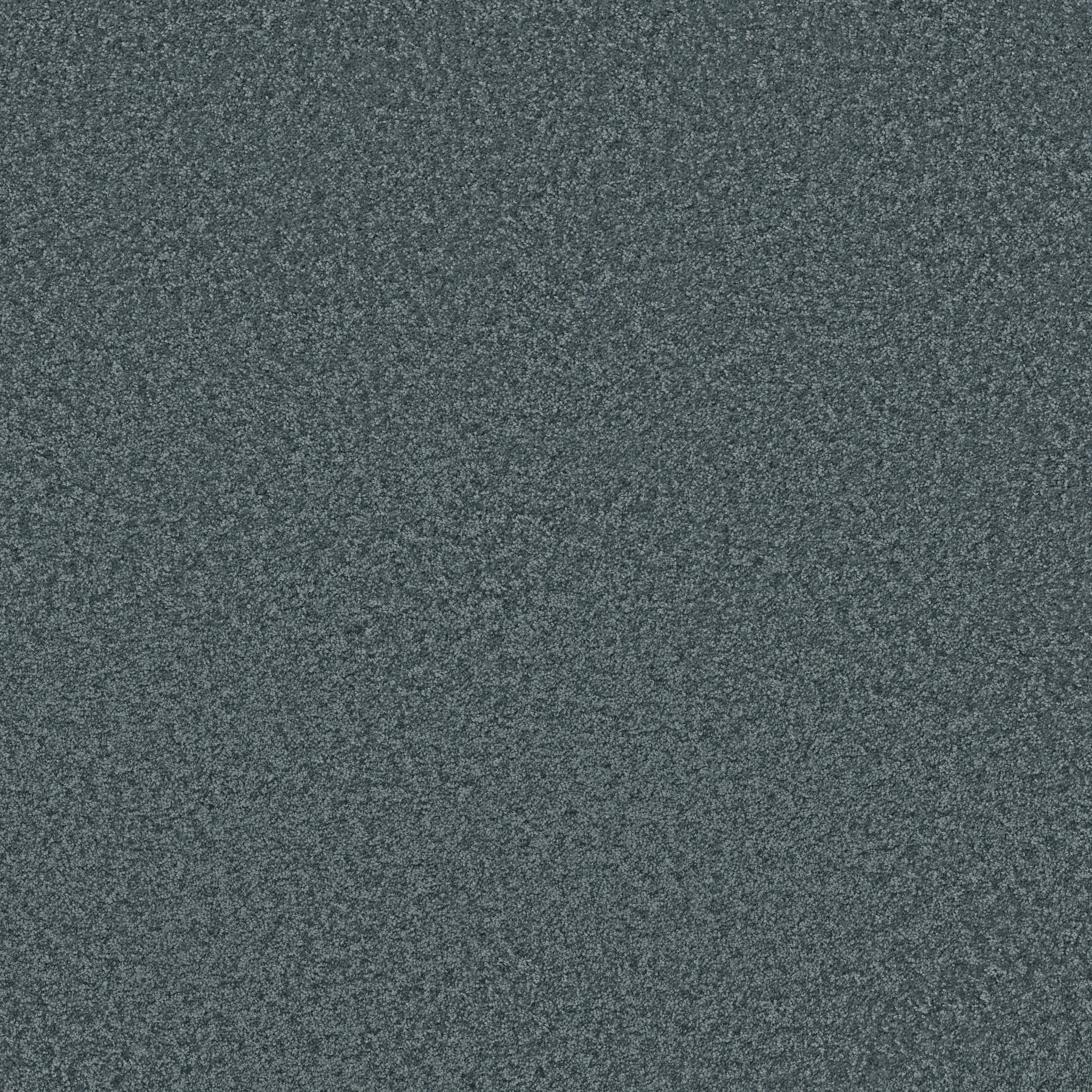 golden cove north shore carpets hgp0200400 Shaw Builder Flooring