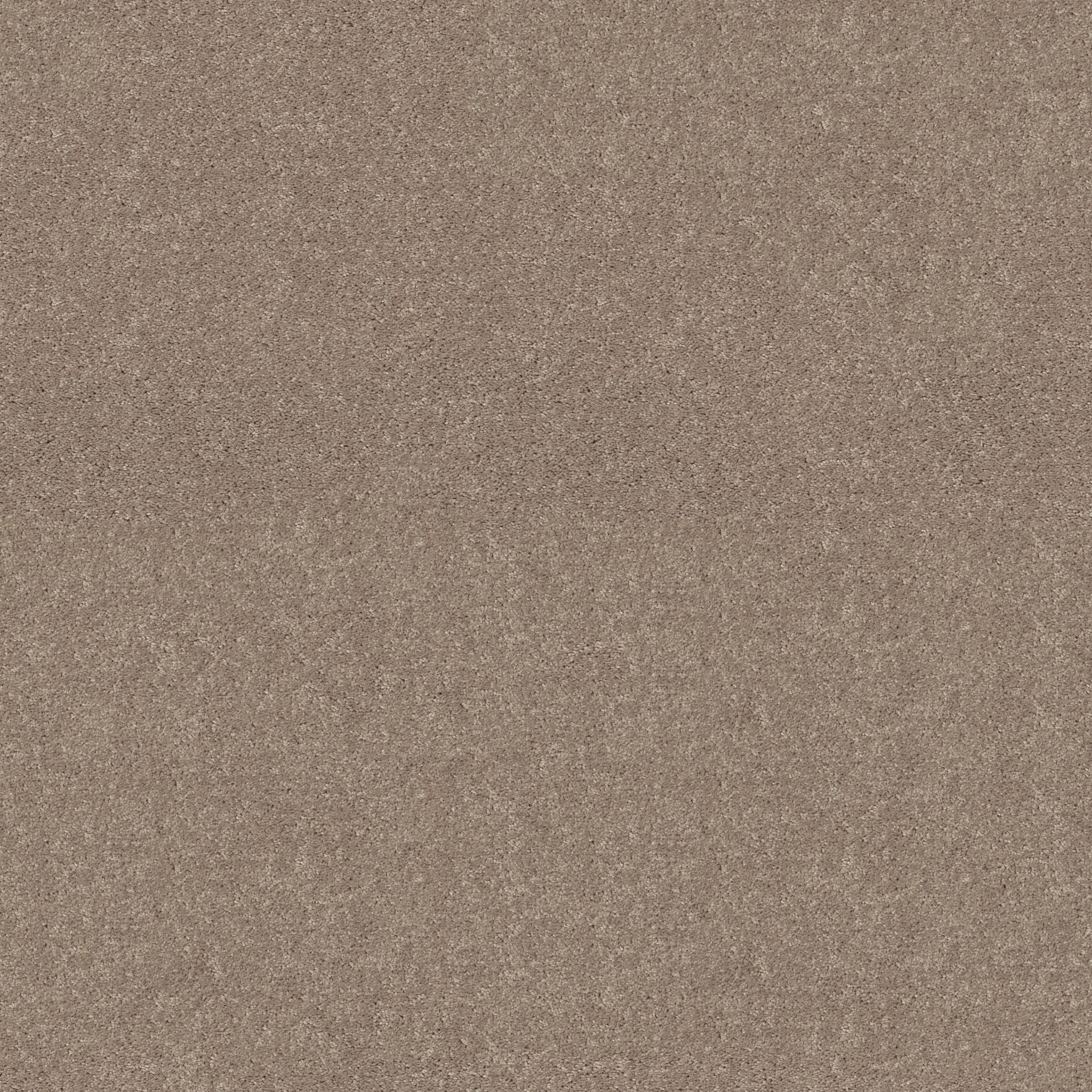 Meadow Vista 12'-Antique Silk-HGP17_00131