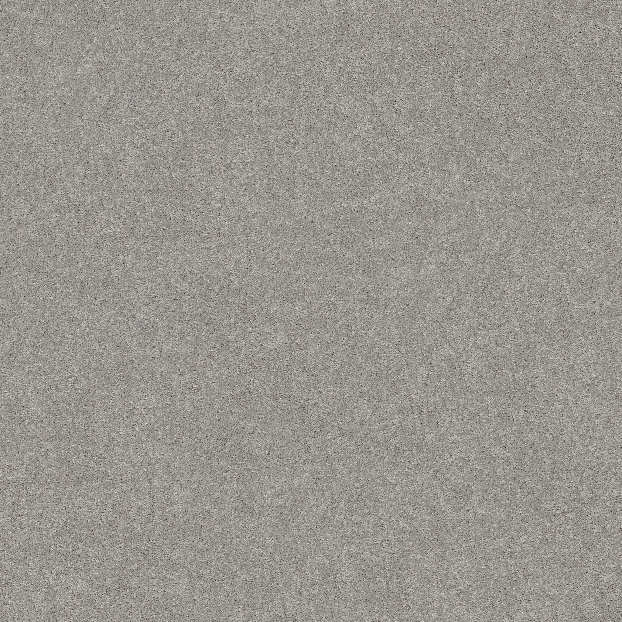 Meadow Vista 12'-Morning Fog-HGP17_00530