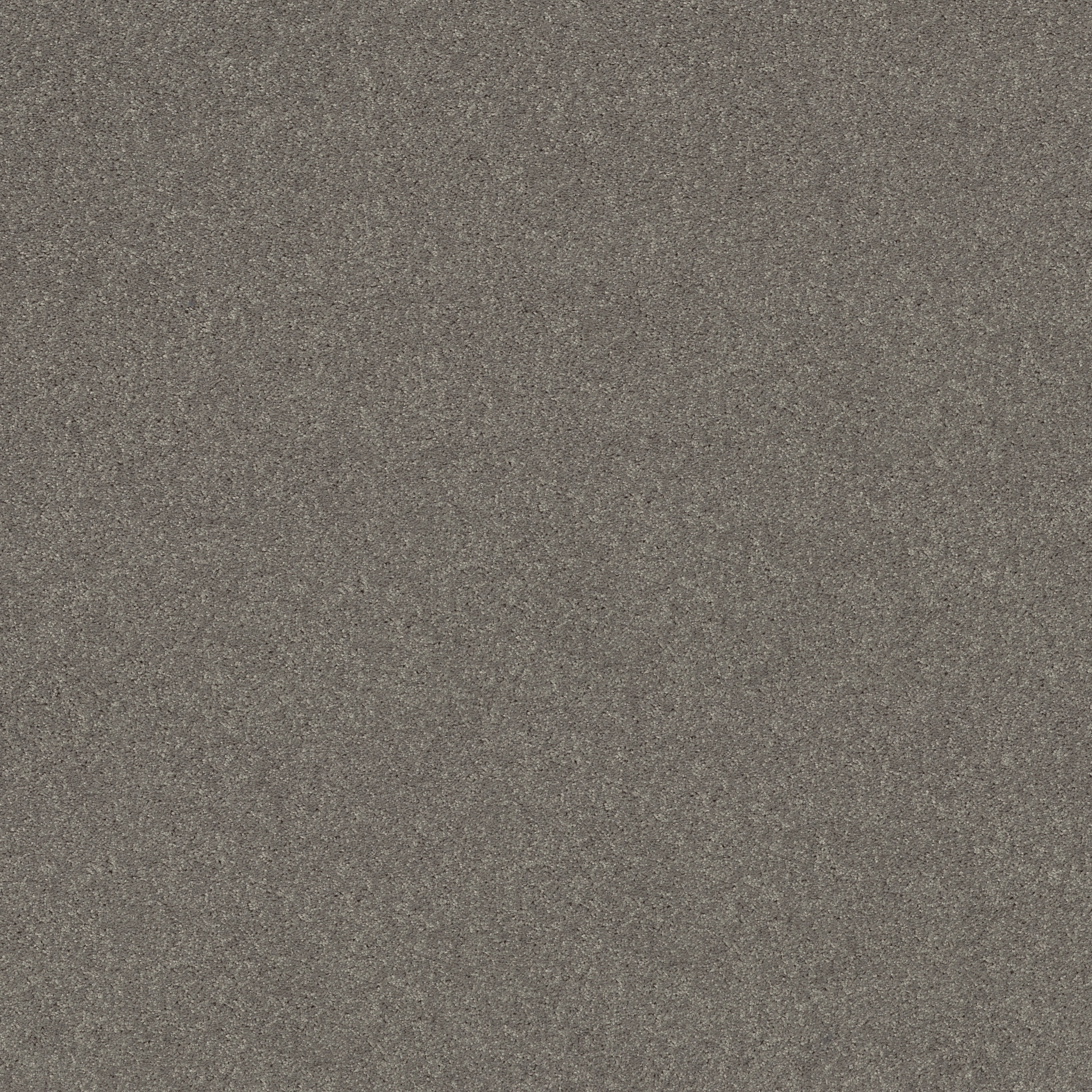 Meadow Vista 12'-Haze-HGP17_00531