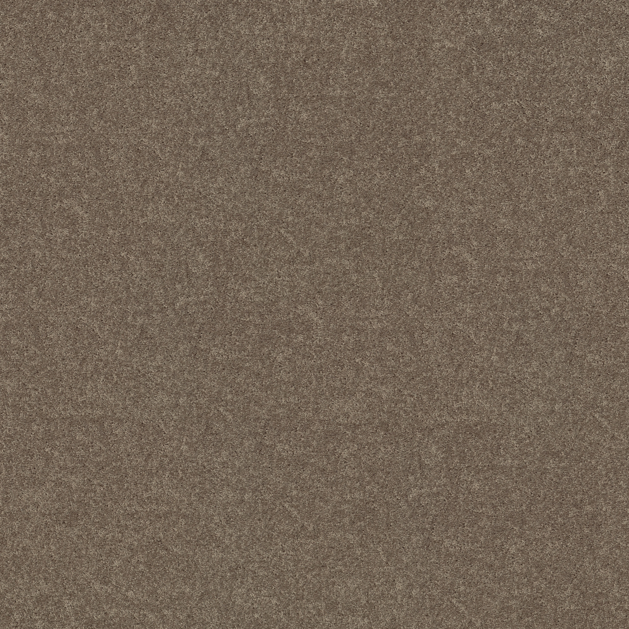 Meadow Vista 12'-Suede-HGP17_00731