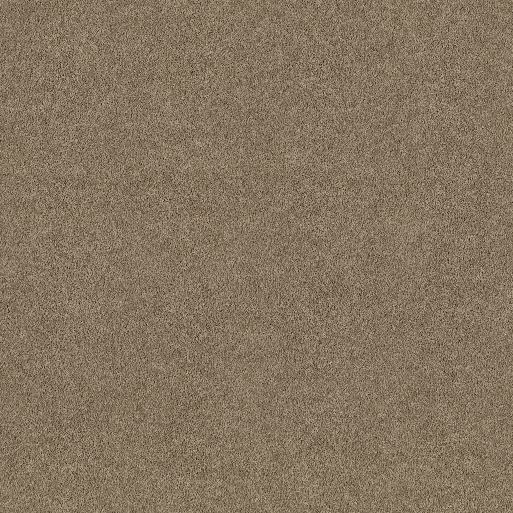 Meadow Vista 12'-Fossil-HGP17_00761