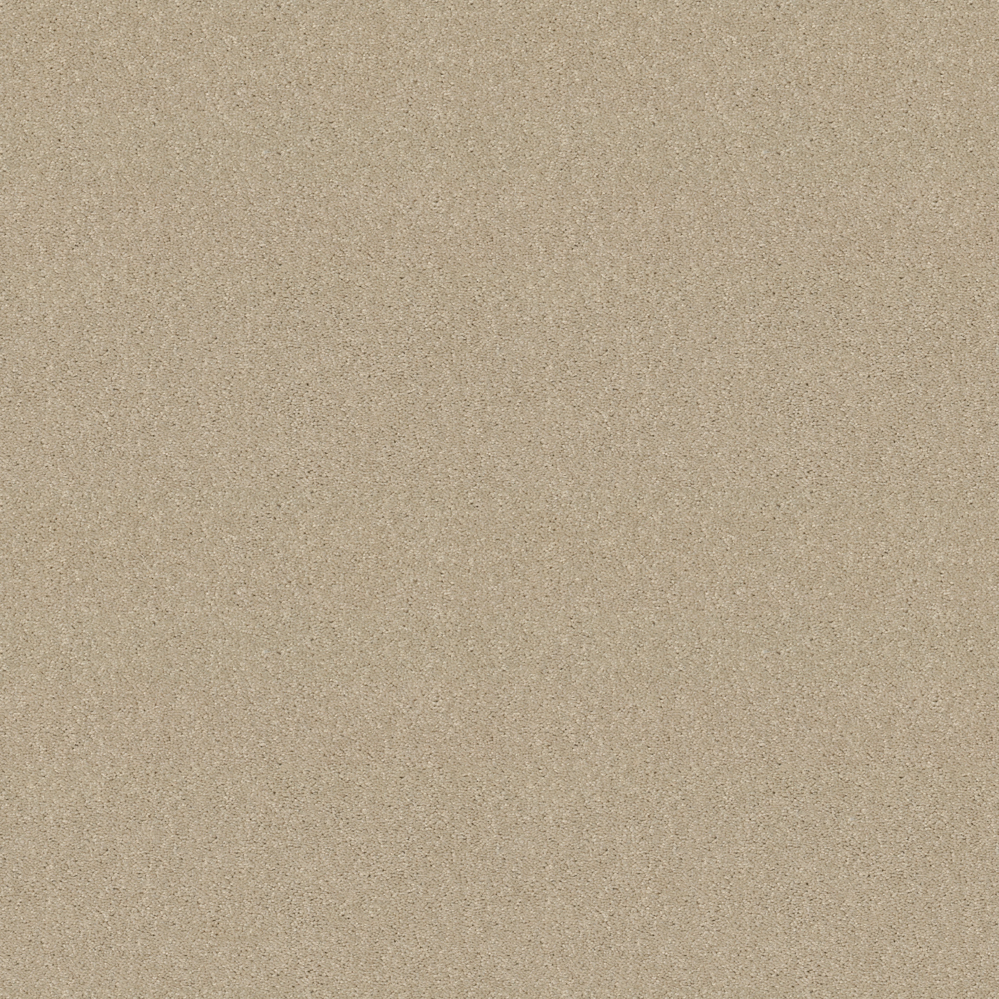 Meadow Vista 12'-Ivory Tint-HGP17_55101