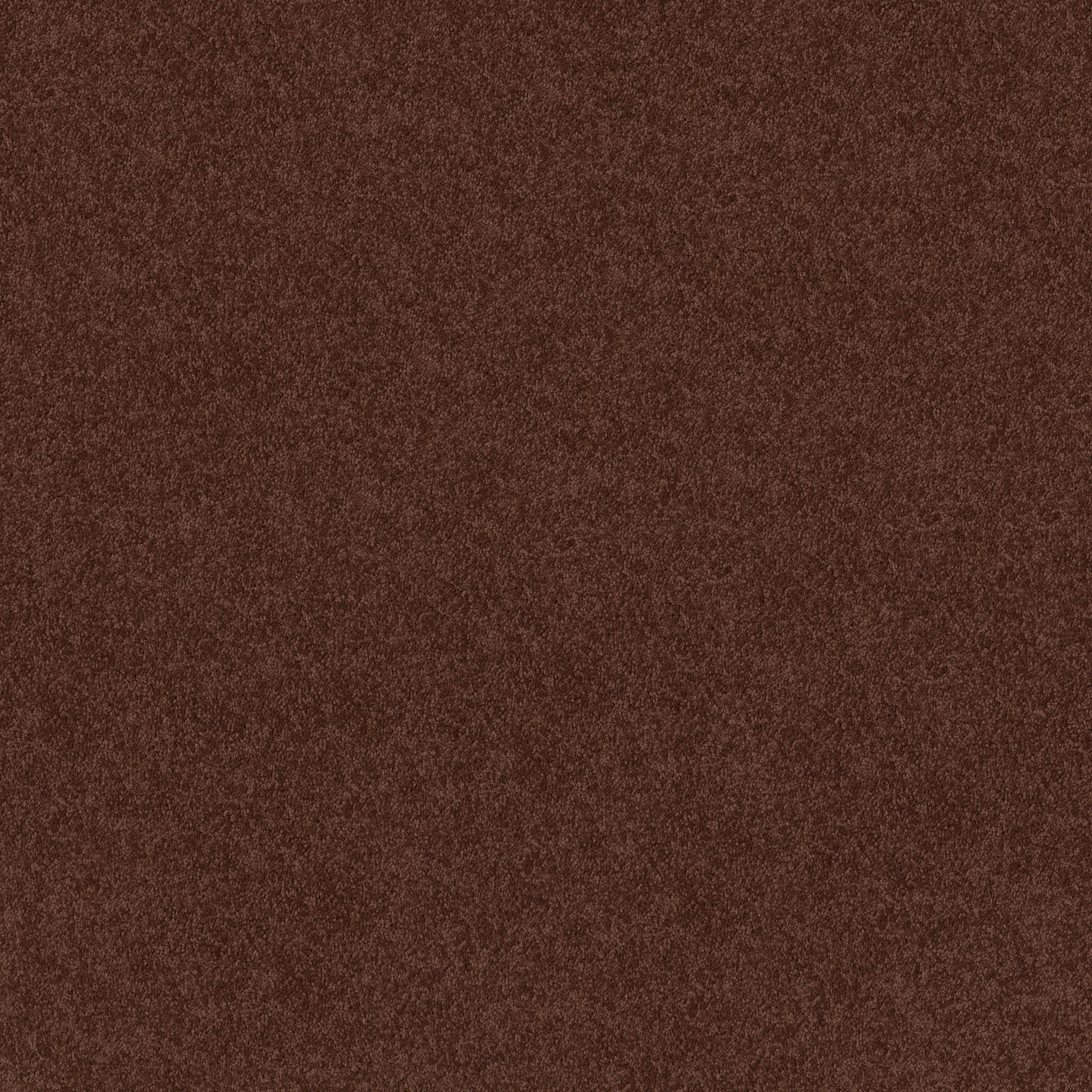 Meadow Vista 12' - Coffee - HGP17_55755